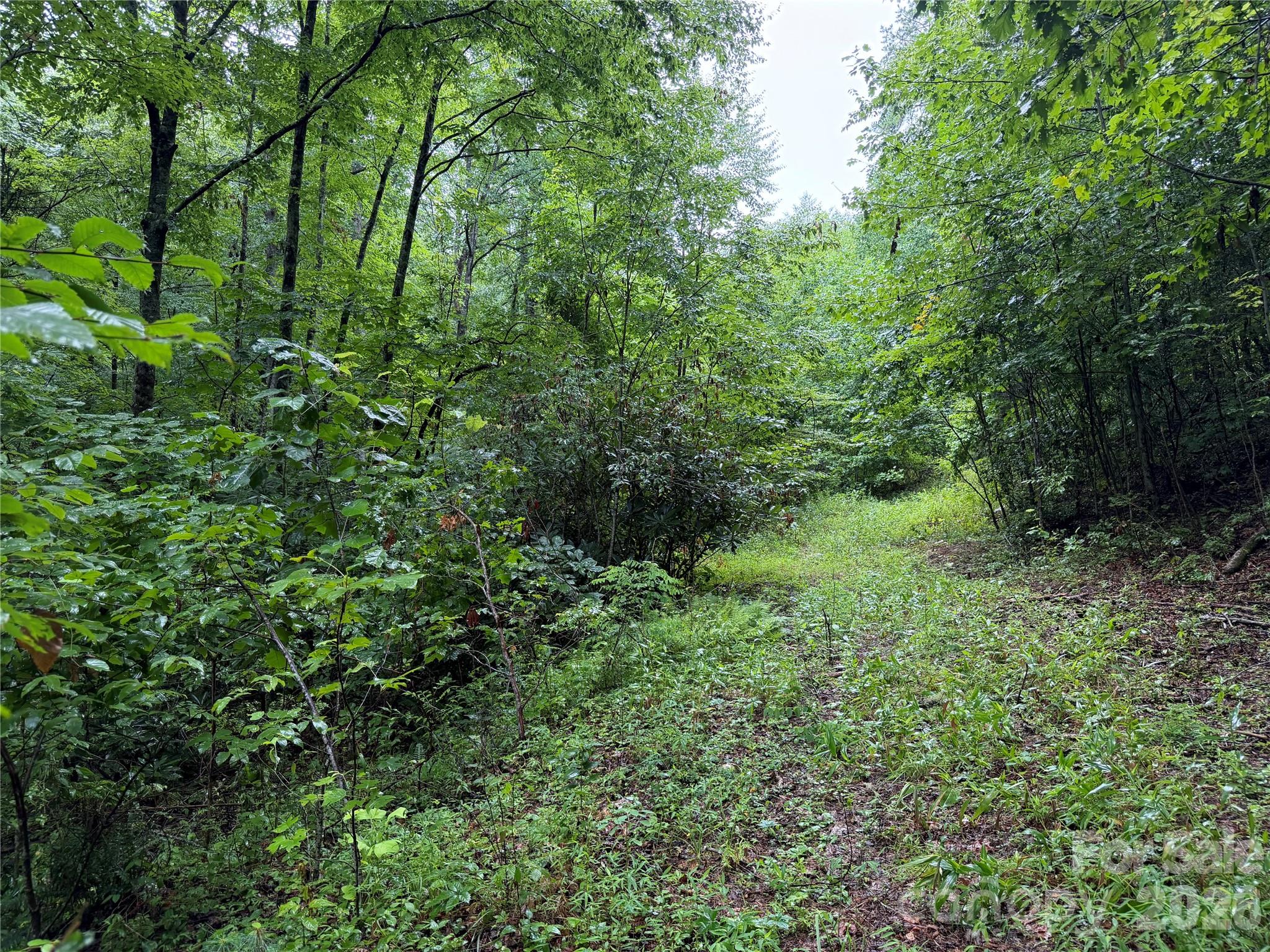 Off Donald McCall Road
