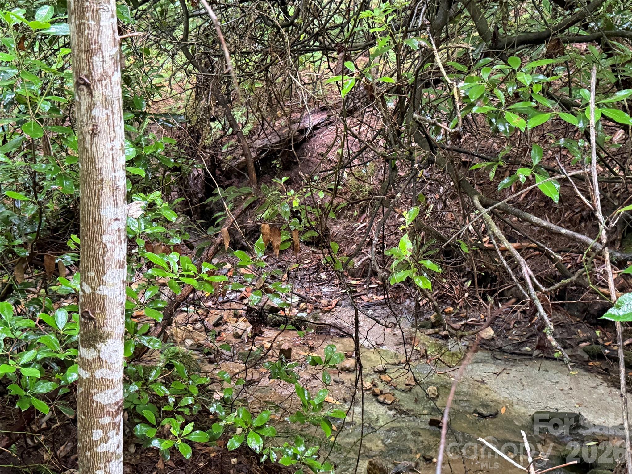 Off Donald McCall Road