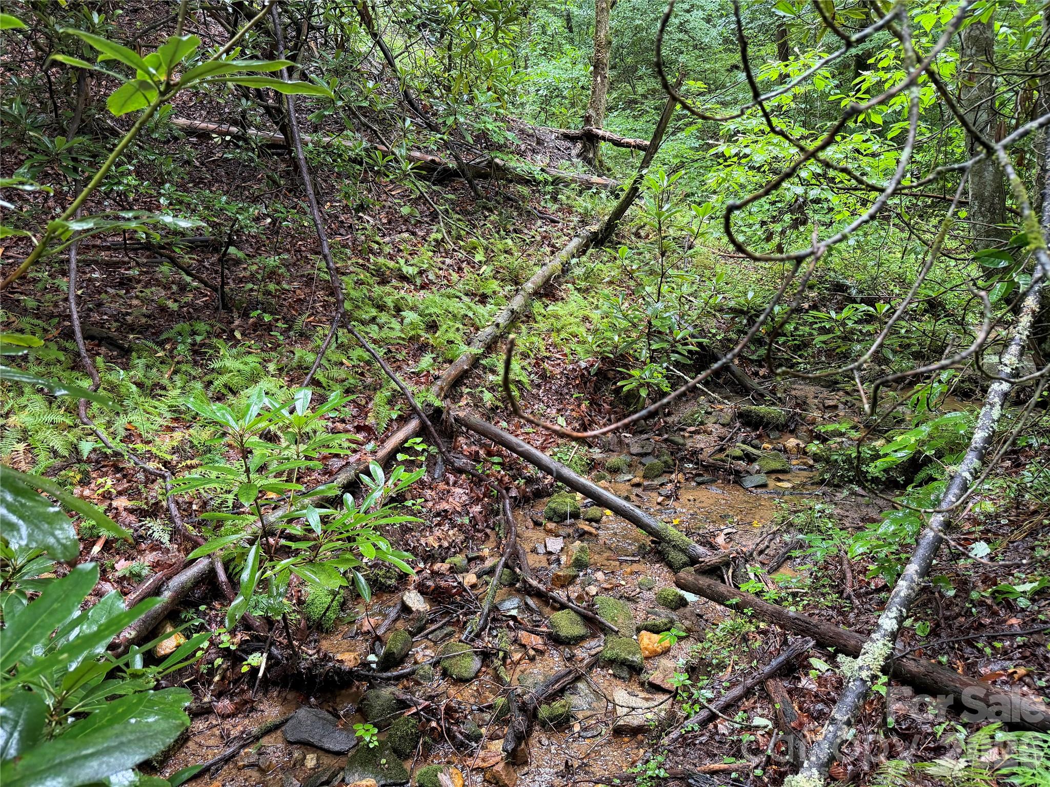 Off Donald McCall Road