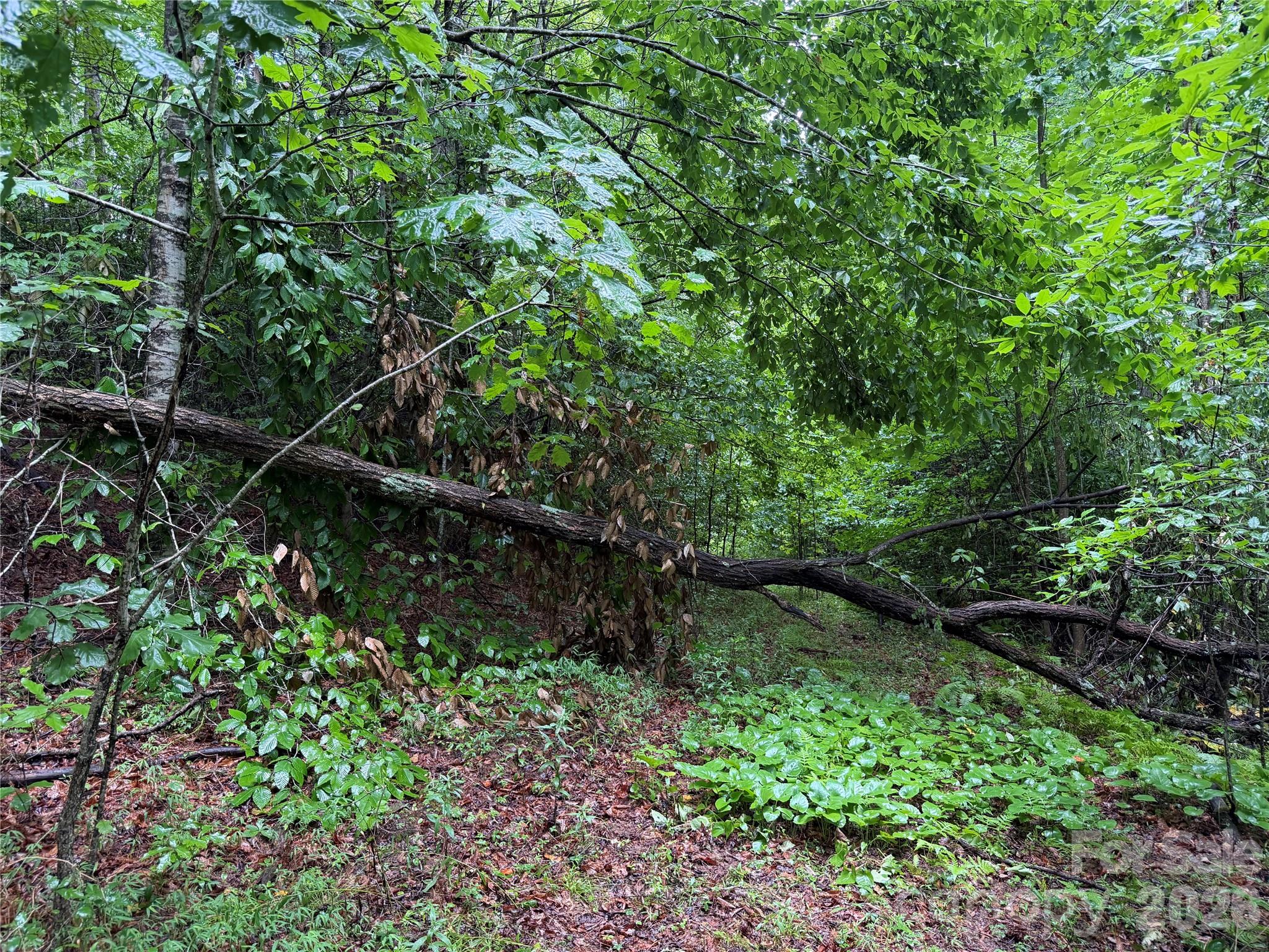 Off Donald McCall Road