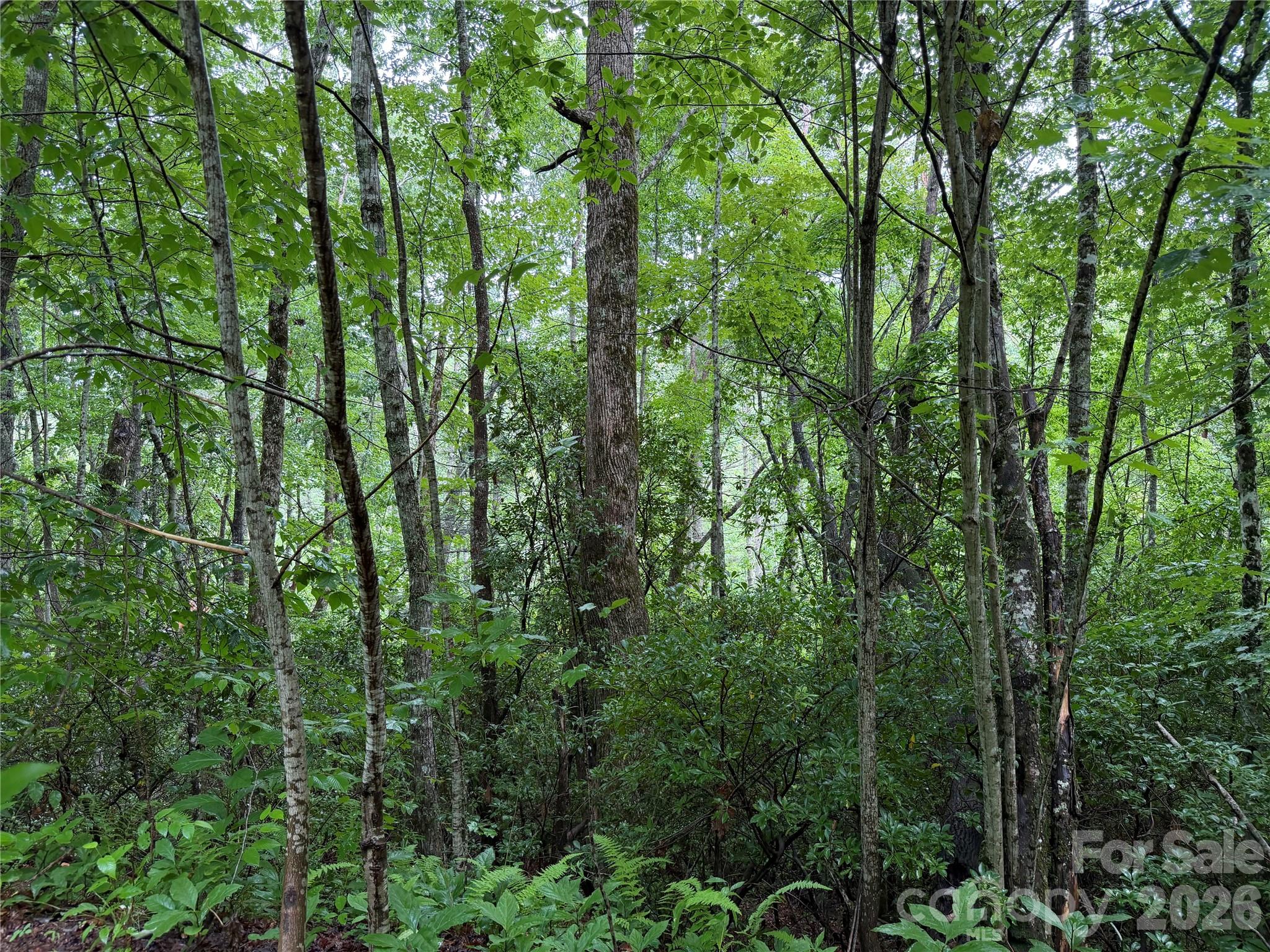 Off Donald McCall Road
