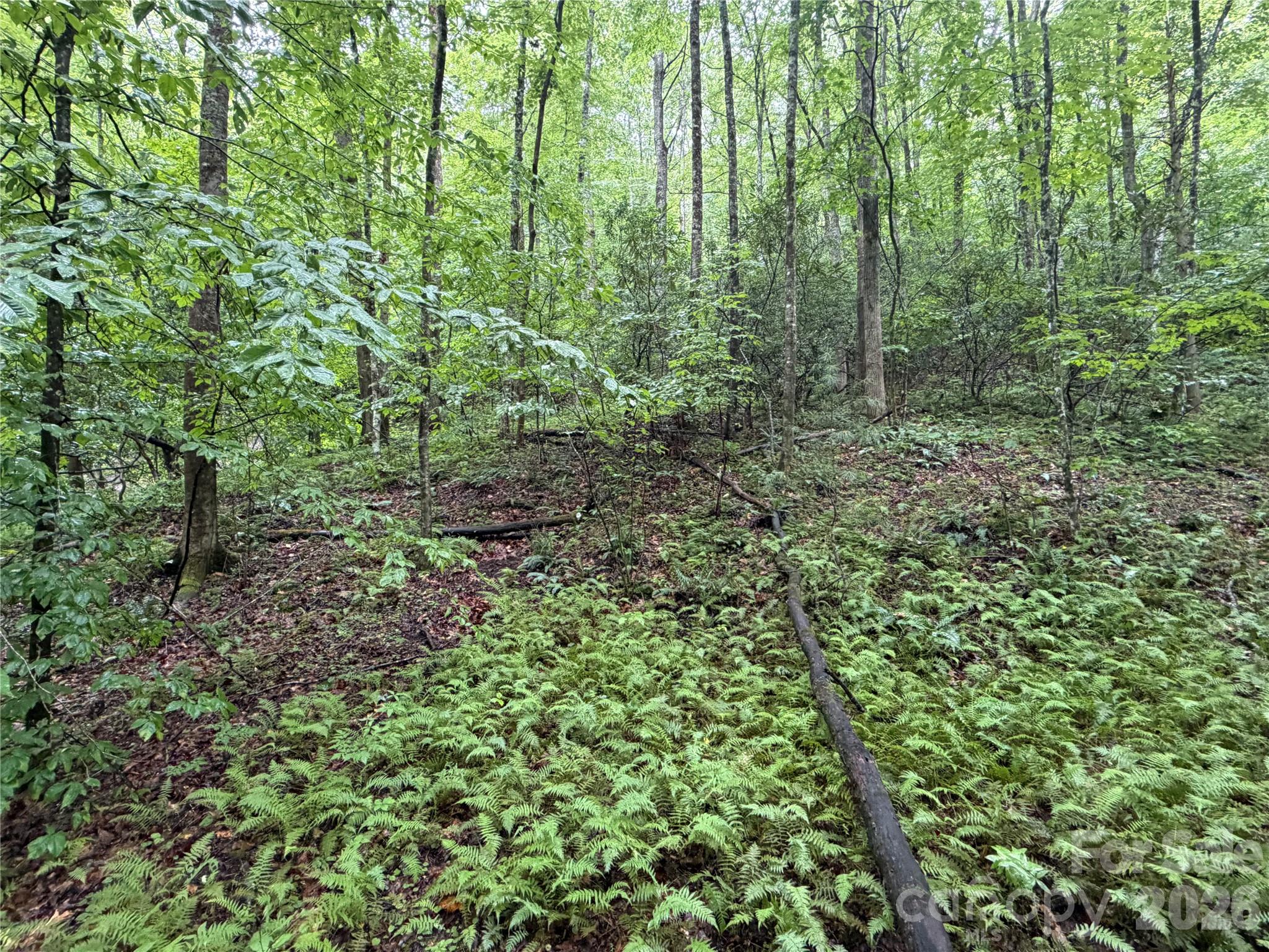 Off Donald McCall Road