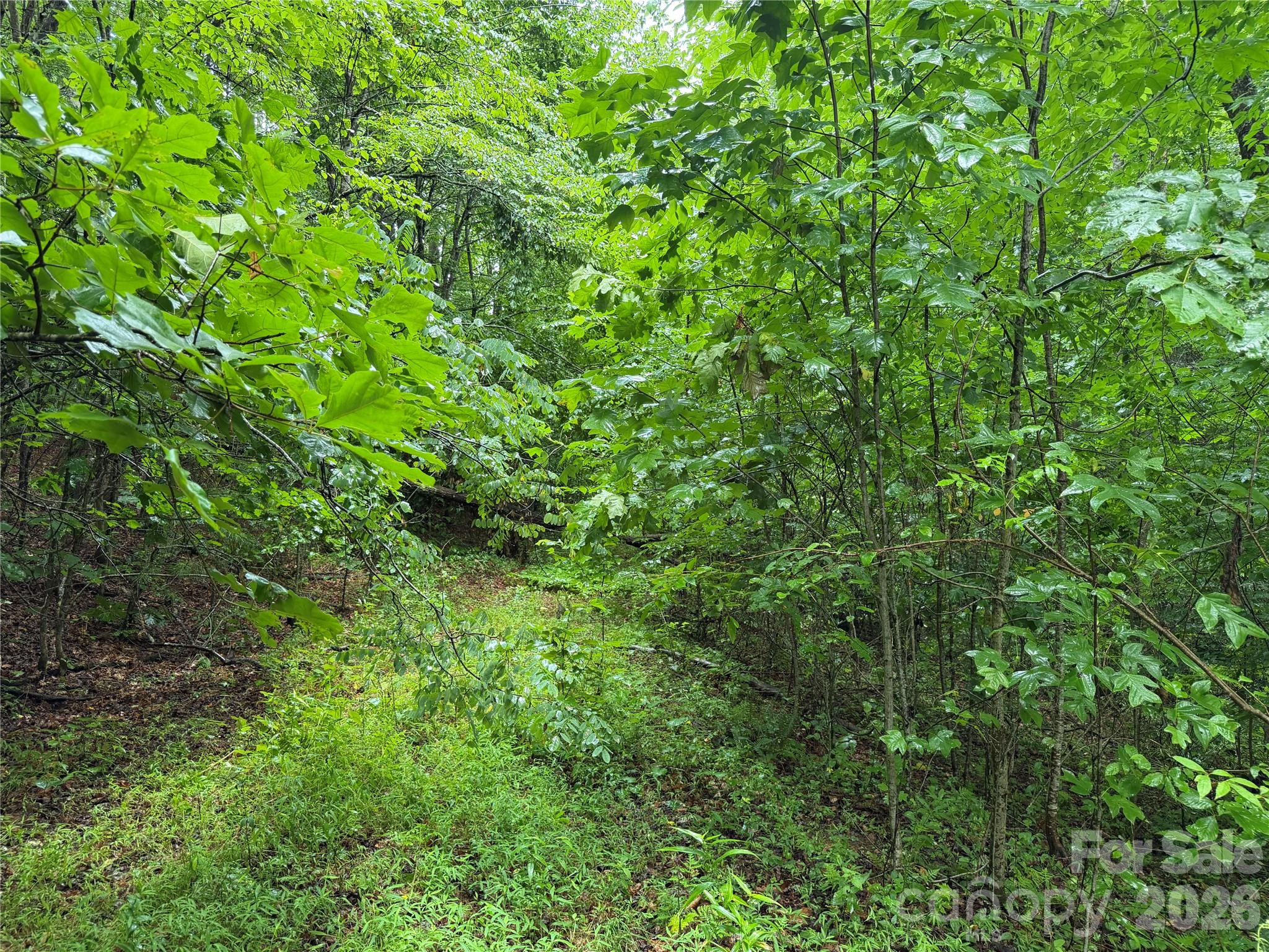 Off Donald McCall Road