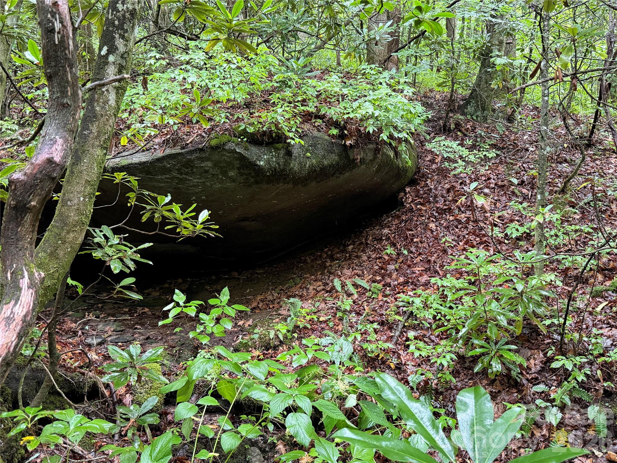 Off Donald McCall Road