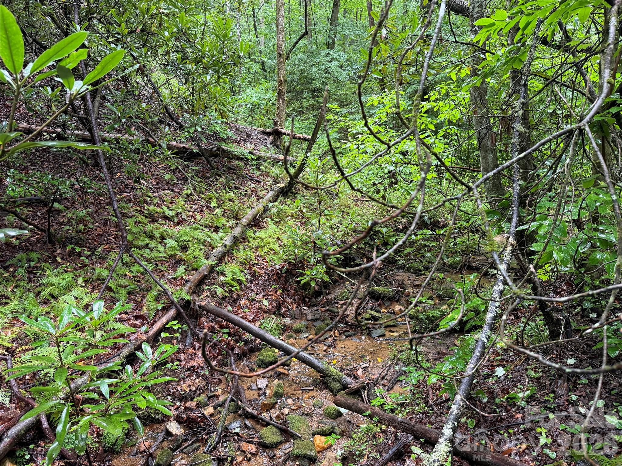 Off Donald McCall Road