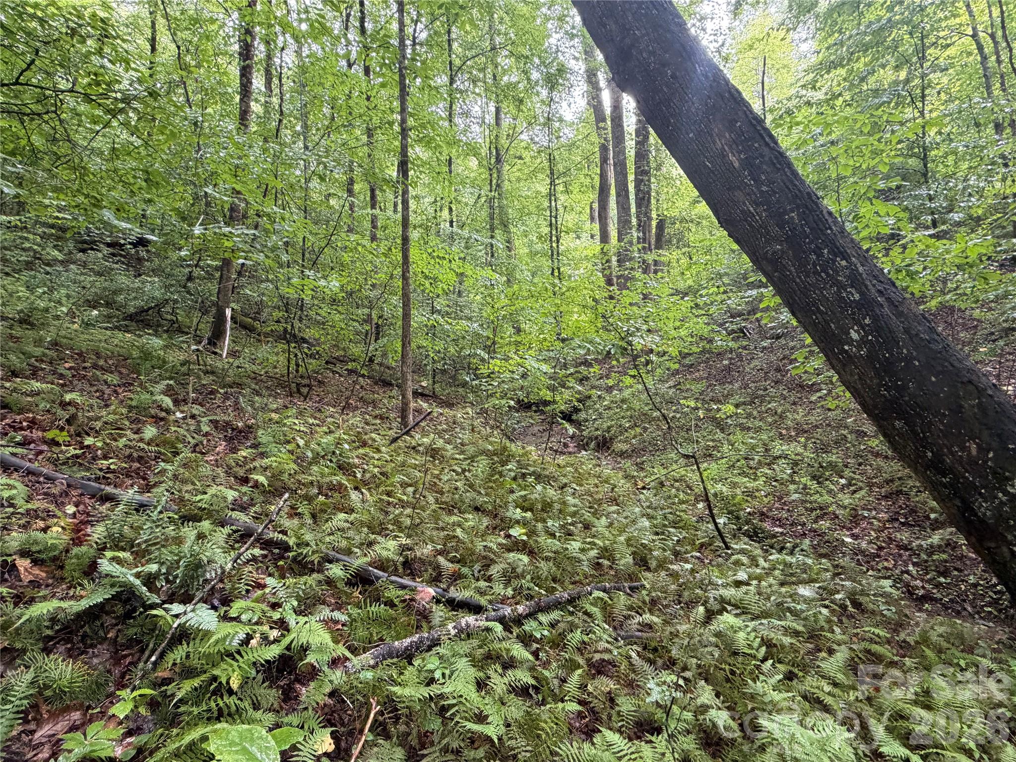 Off Donald McCall Road