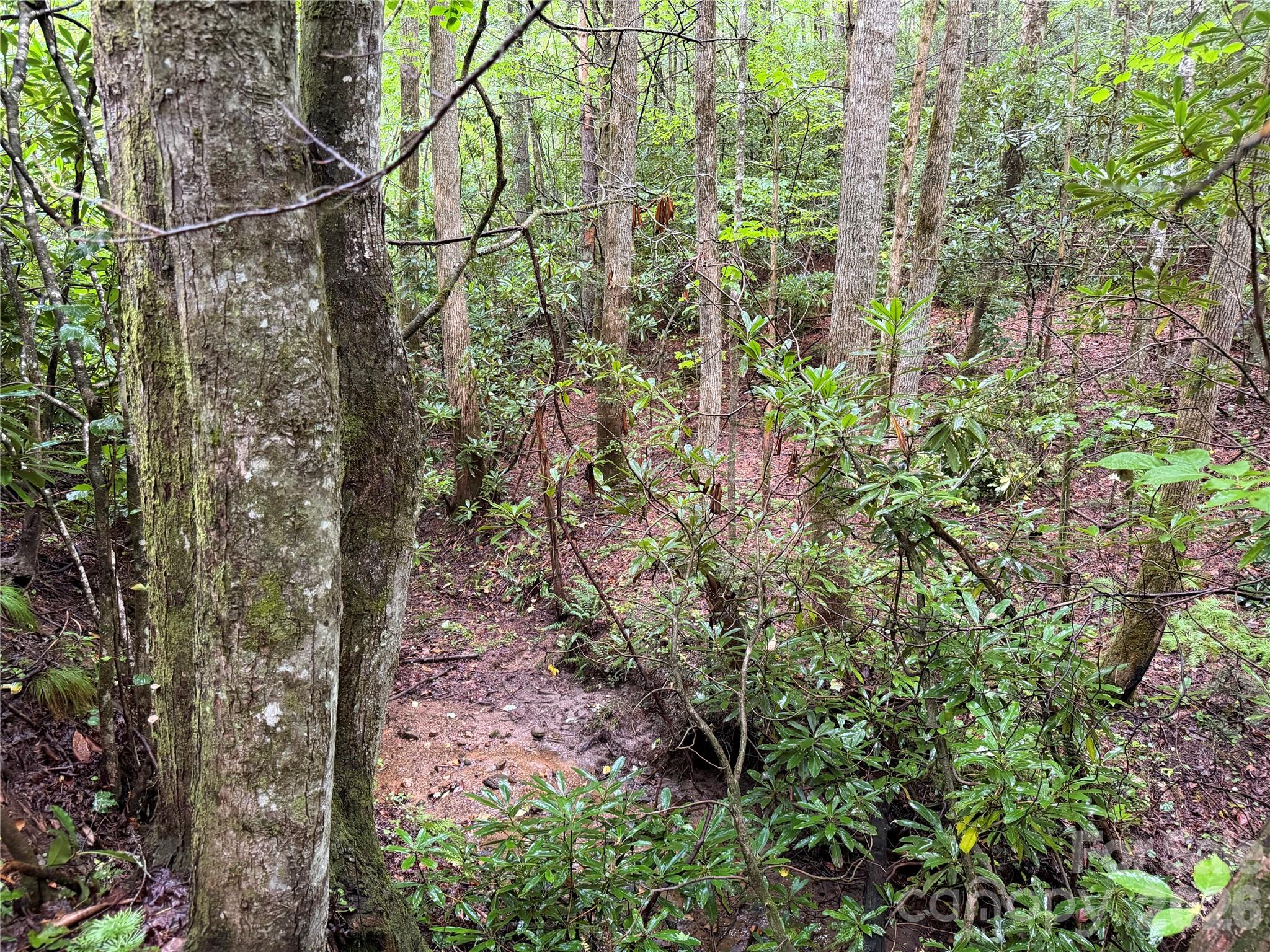 Off Donald McCall Road
