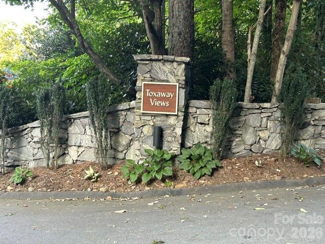 157 Toxaway Views Drive