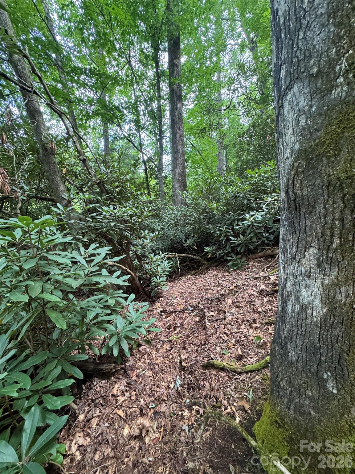 000 Wilson Road