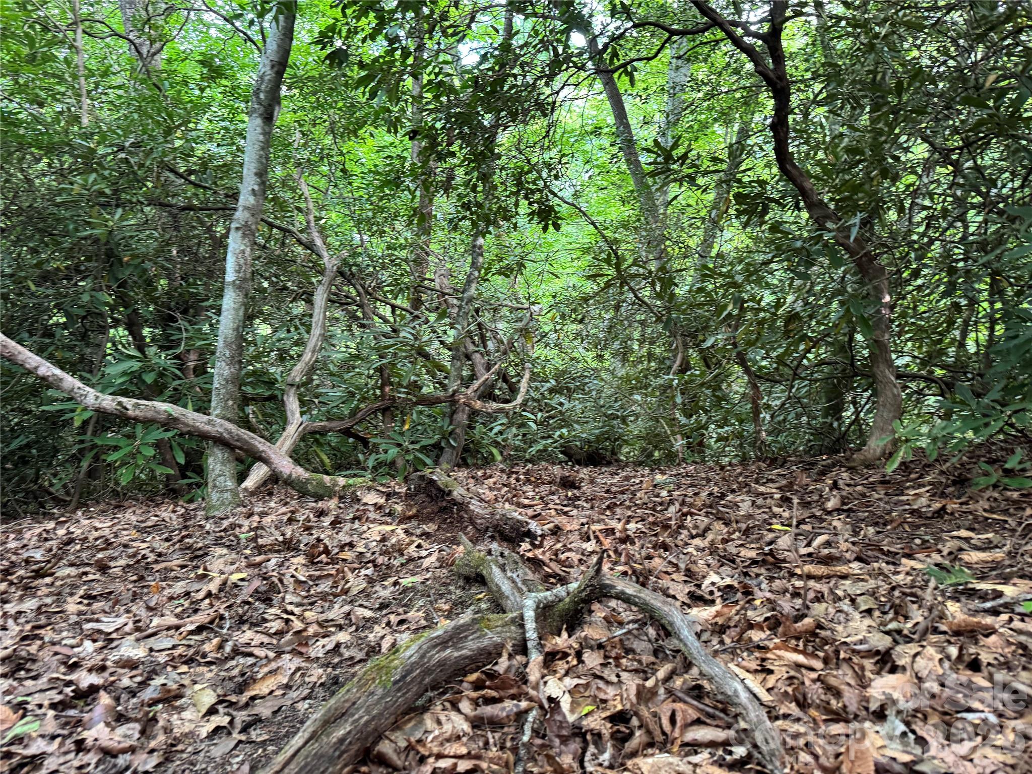 000 Wilson Road