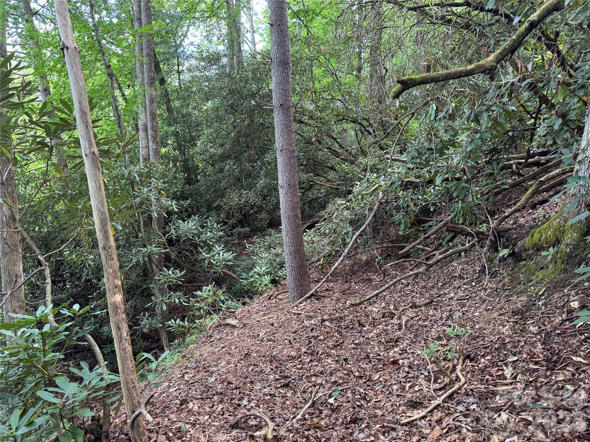 000 Wilson Road