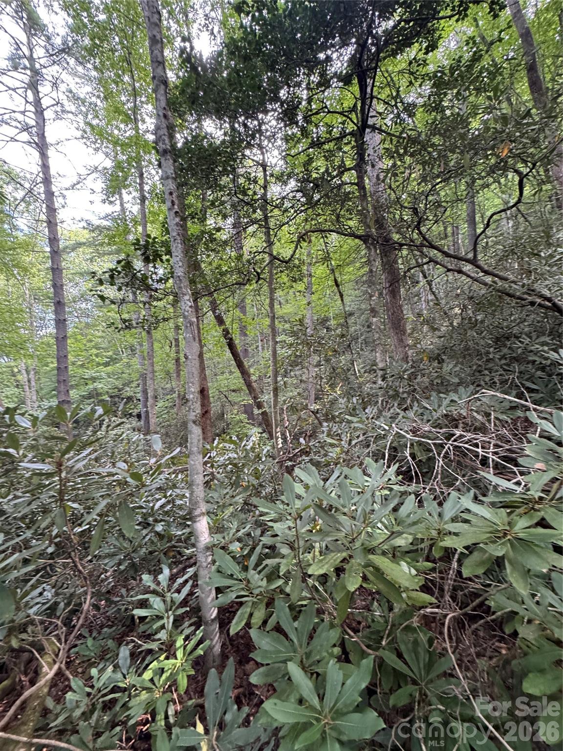 000 Wilson Road