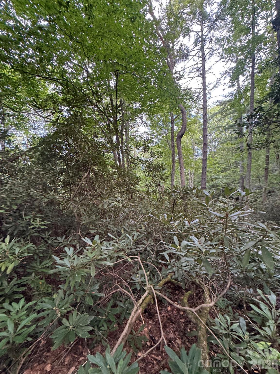 000 Wilson Road