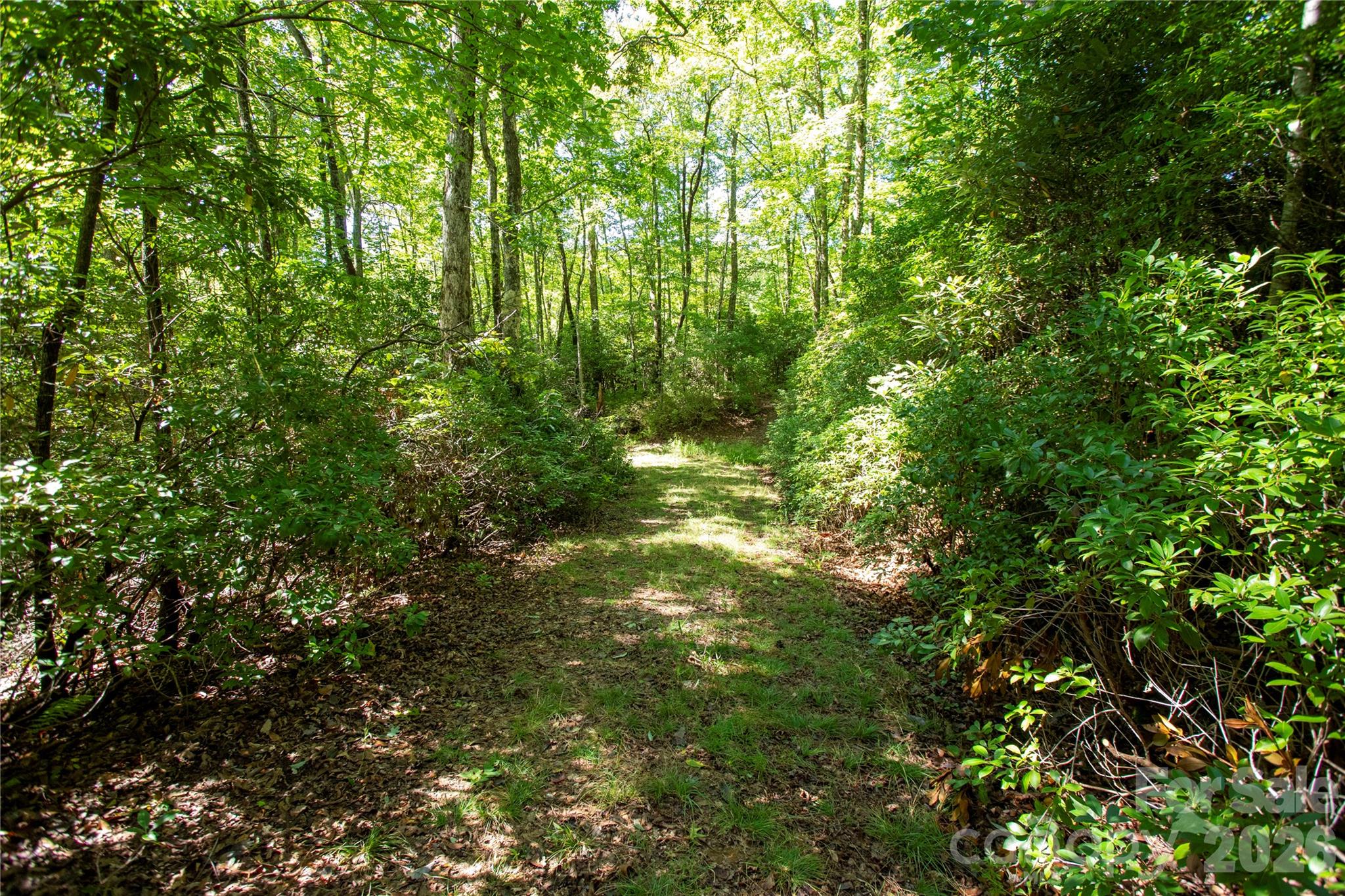 147 Hummingbird Hollow