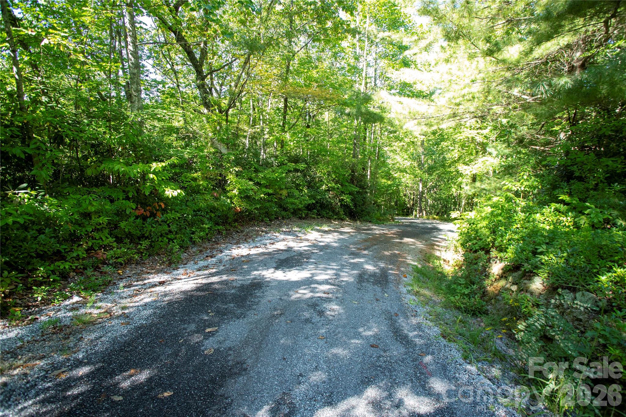 147 Hummingbird Hollow