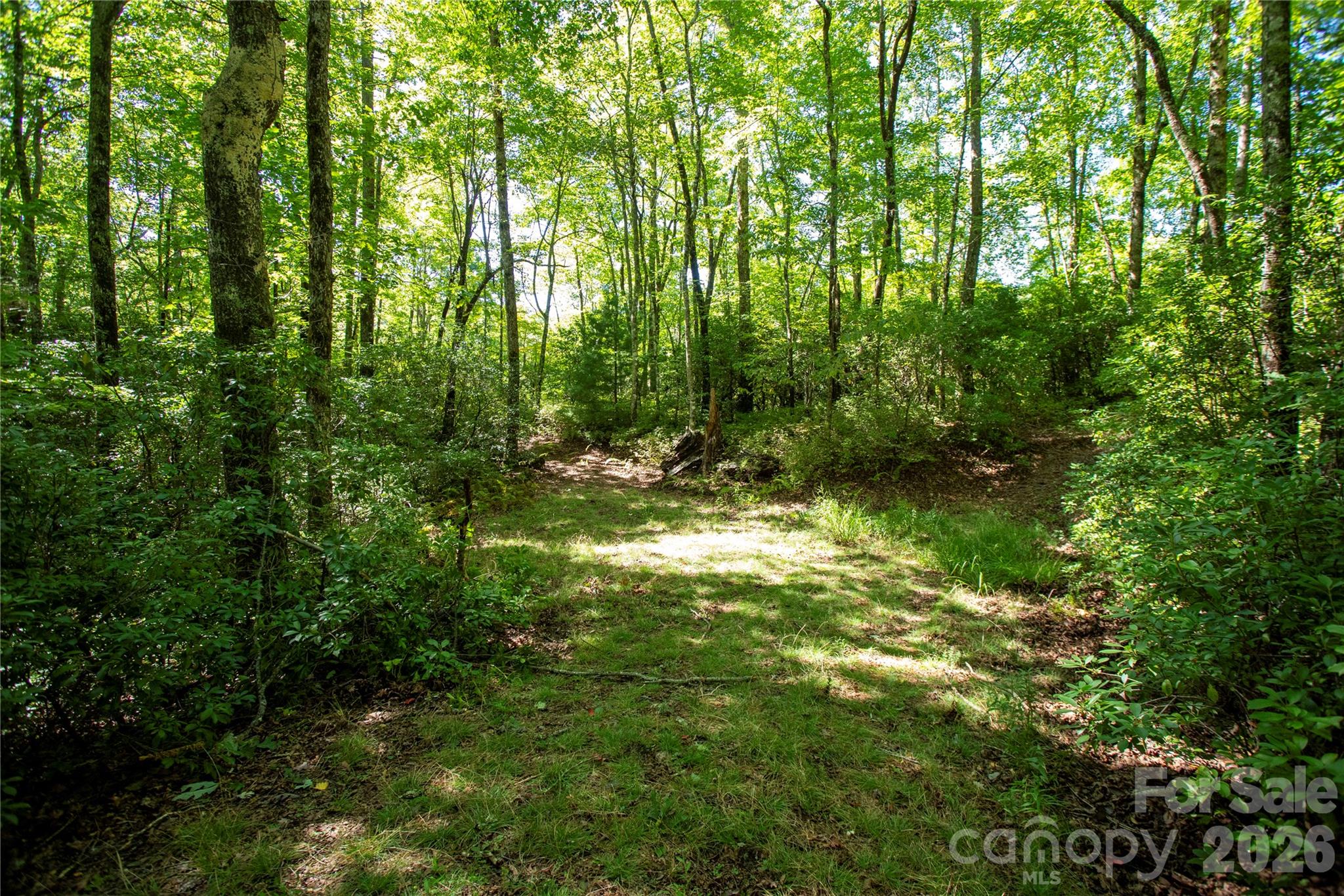 147 Hummingbird Hollow