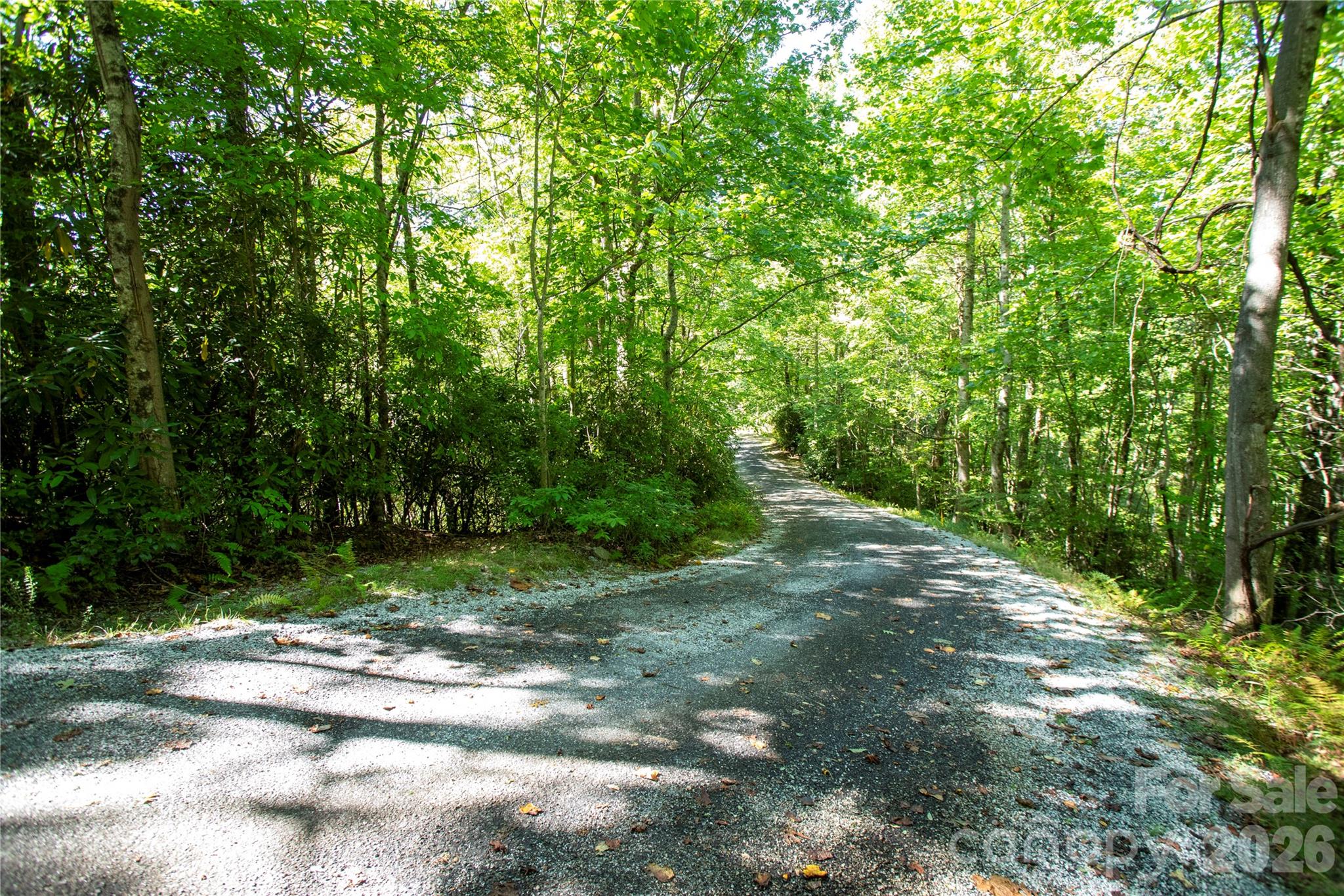 147 Hummingbird Hollow