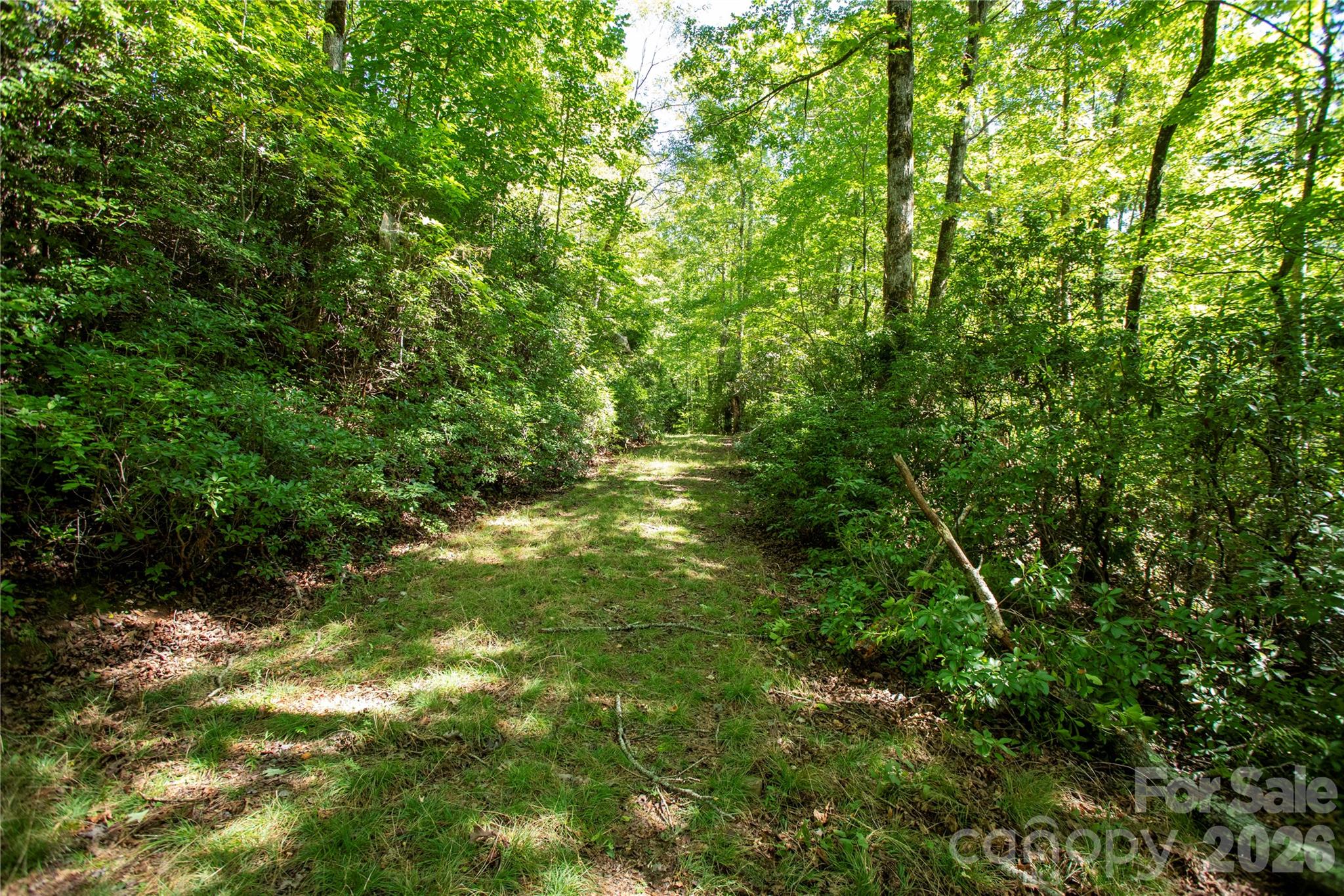 147 Hummingbird Hollow
