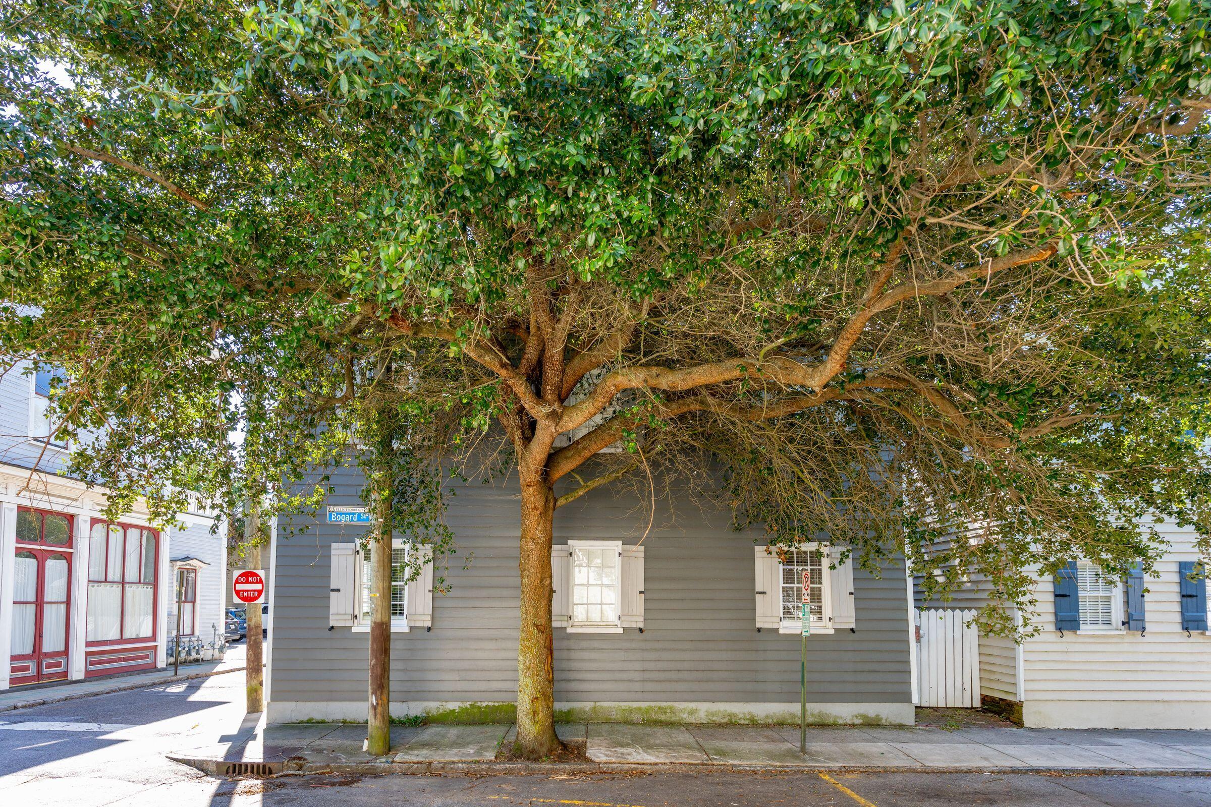 29 Sires Street # A