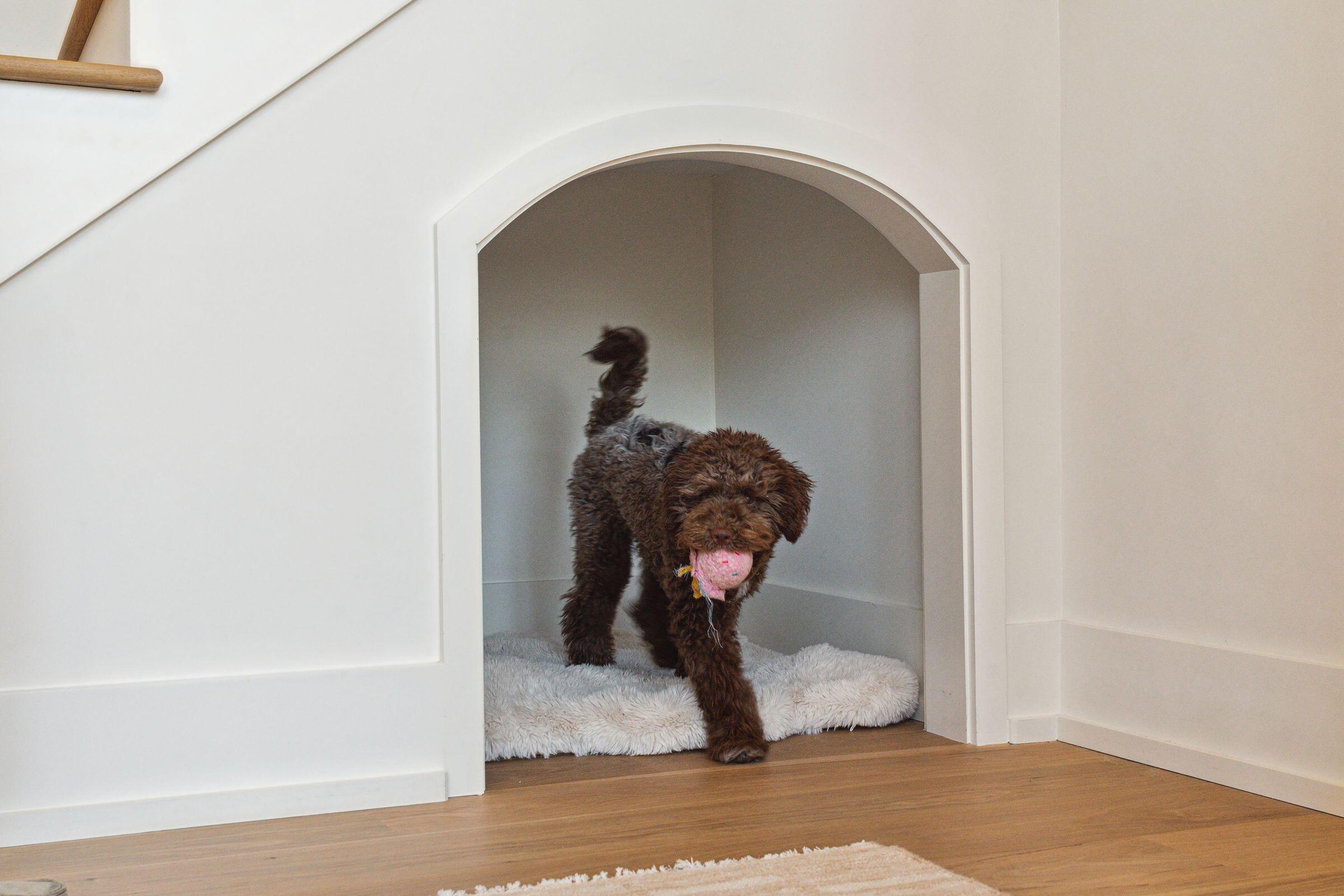 3 Chisolm Street # 402