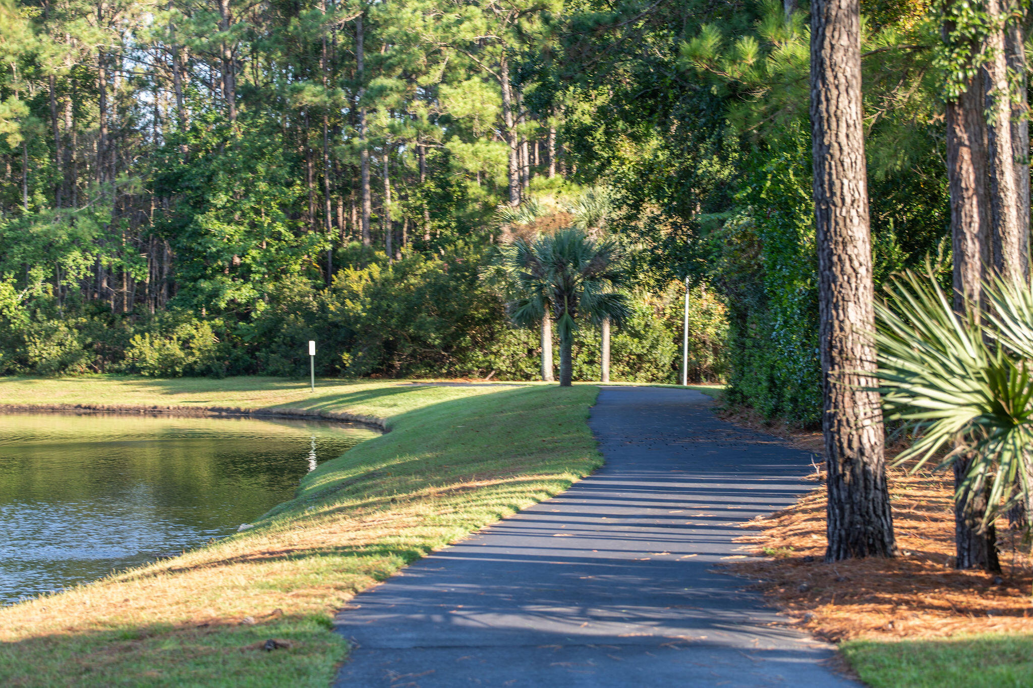 3168 Treadwell Street