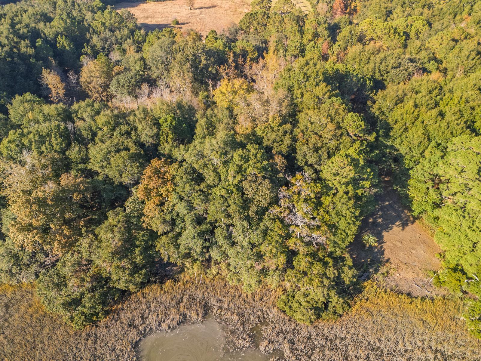 8356 Crooked Creek Lane