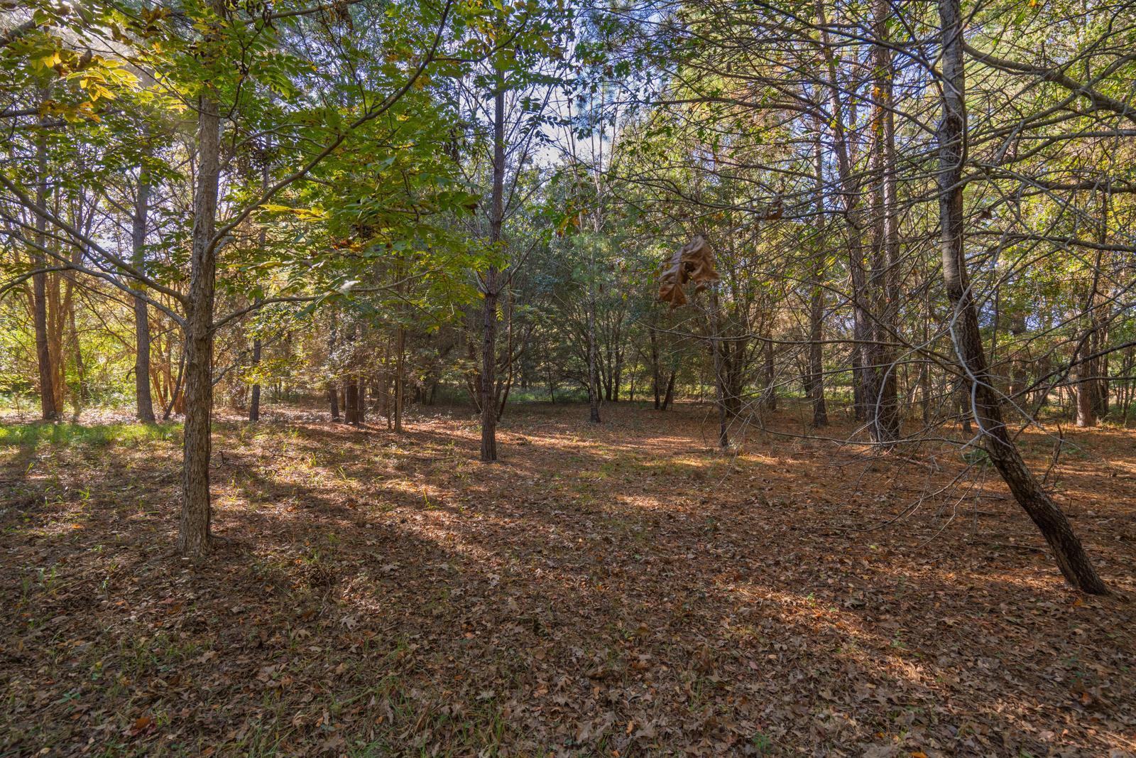 8356 Crooked Creek Lane