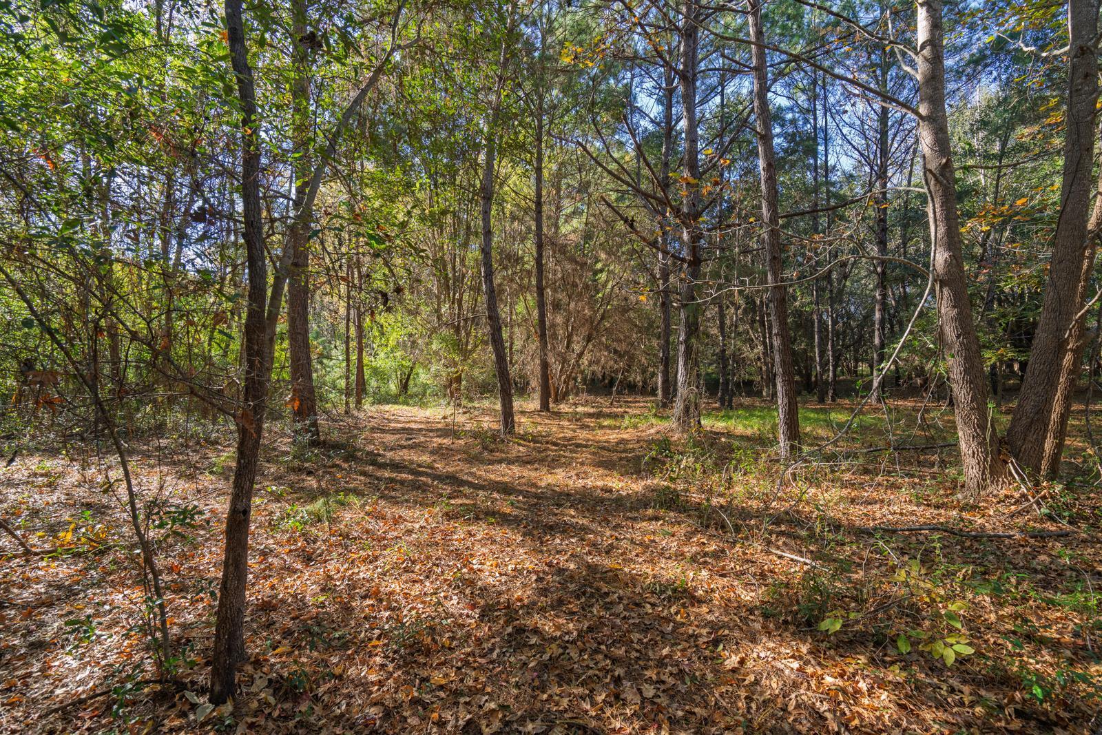 8356 Crooked Creek Lane