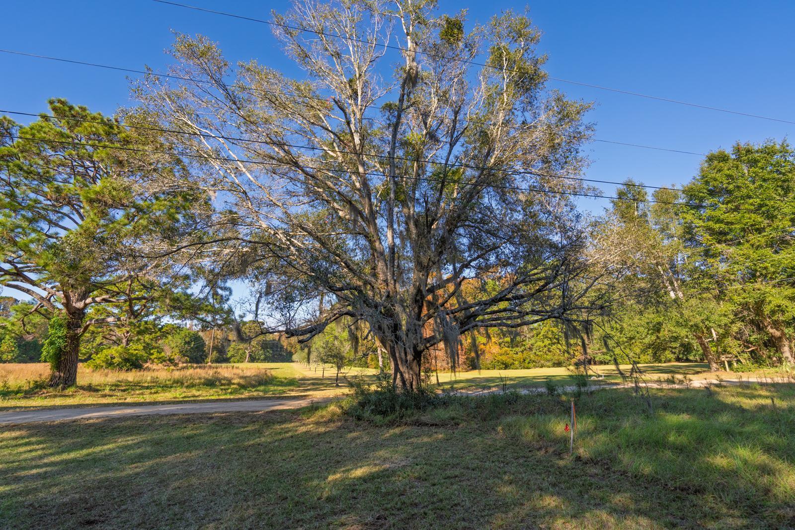 8356 Crooked Creek Lane