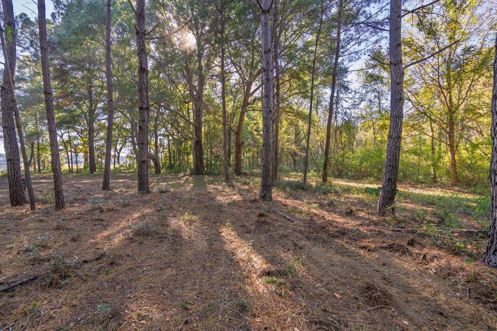 8356 Crooked Creek Lane