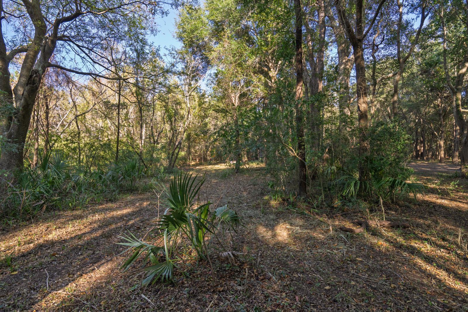 8356 Crooked Creek Lane