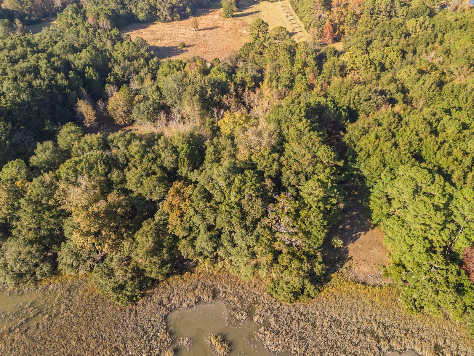 8356 Crooked Creek Lane