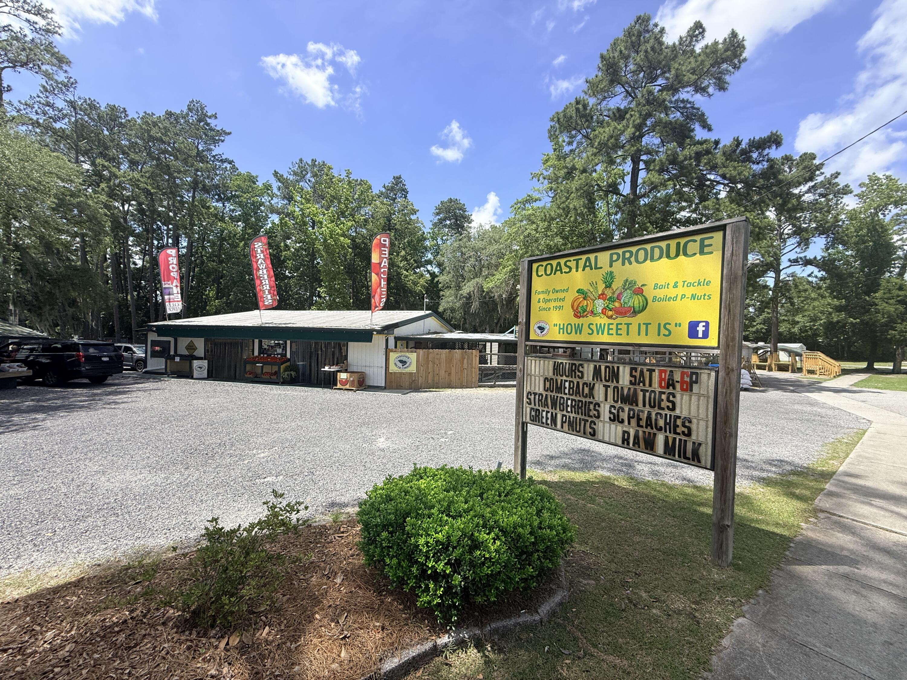 139 Sabal Court