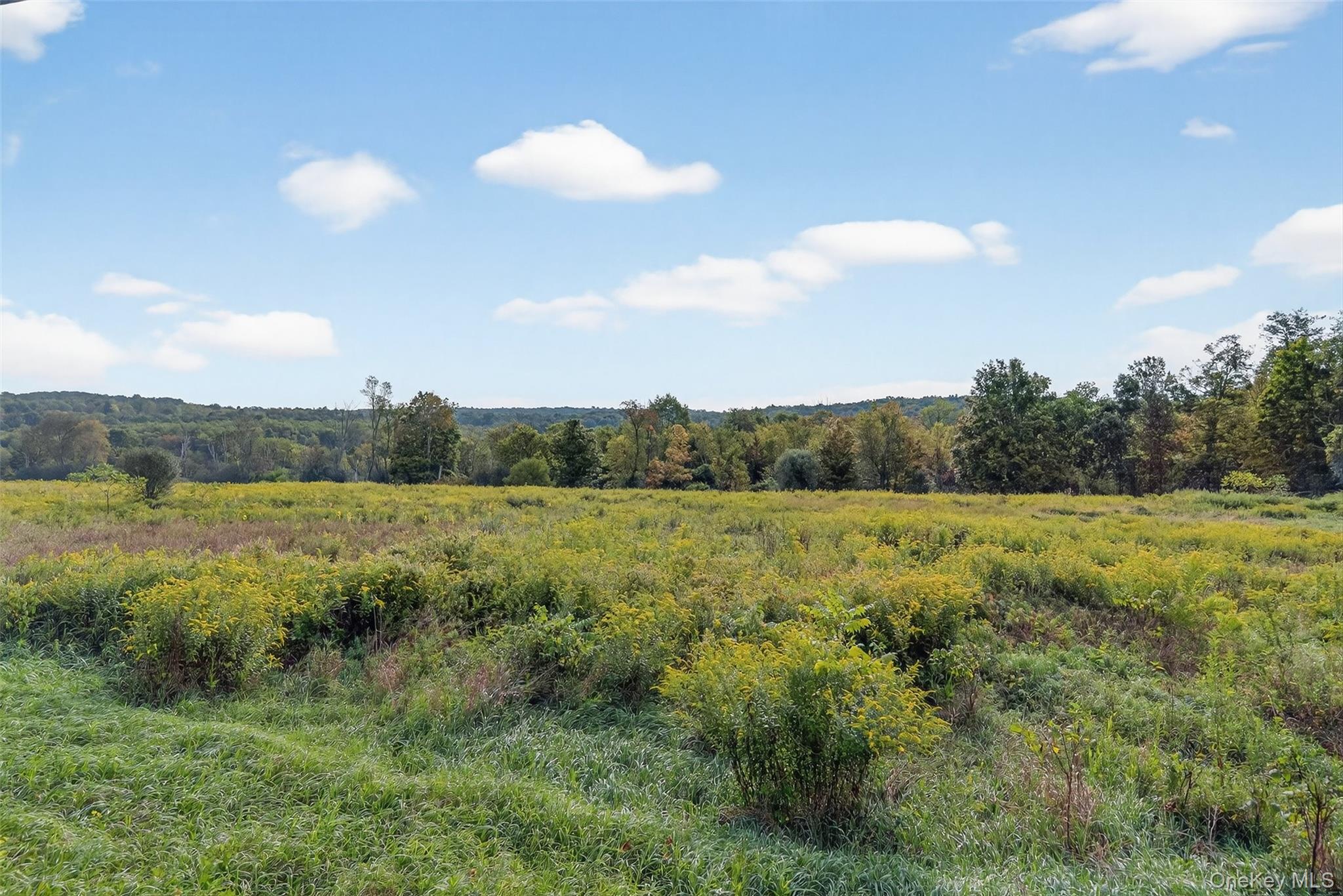 441 Scotchtown Collabar Road