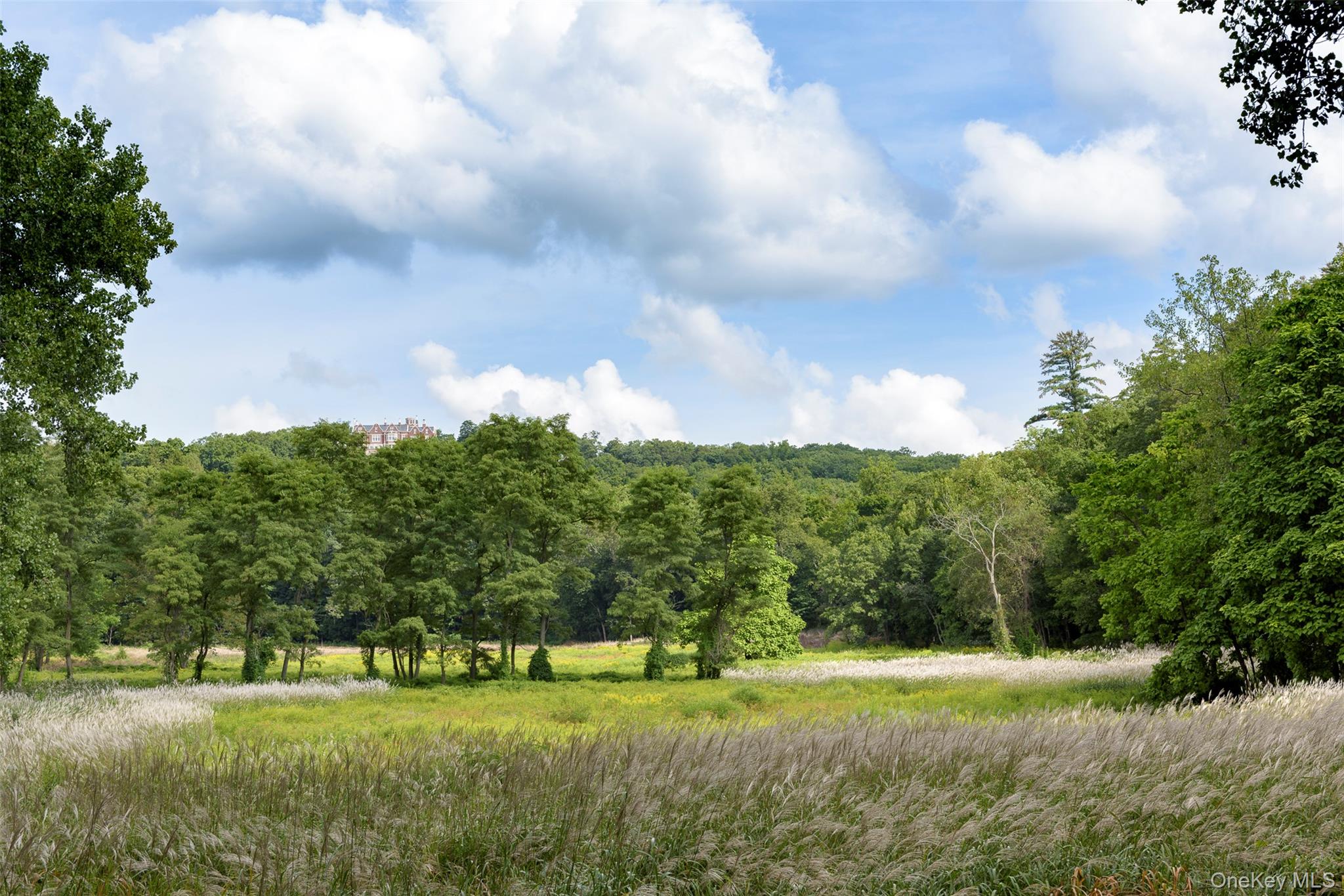 74 Tower Hill Loop E