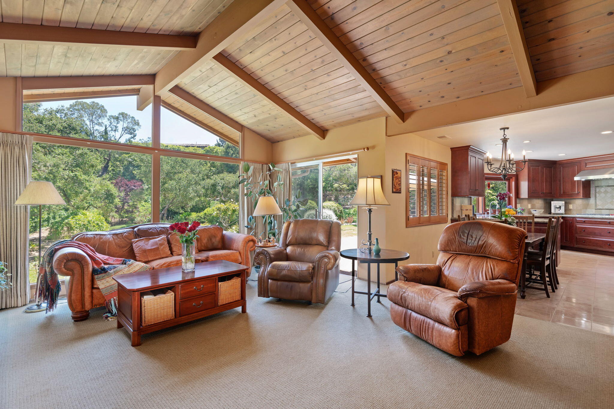 1163 Camino Viejo Road