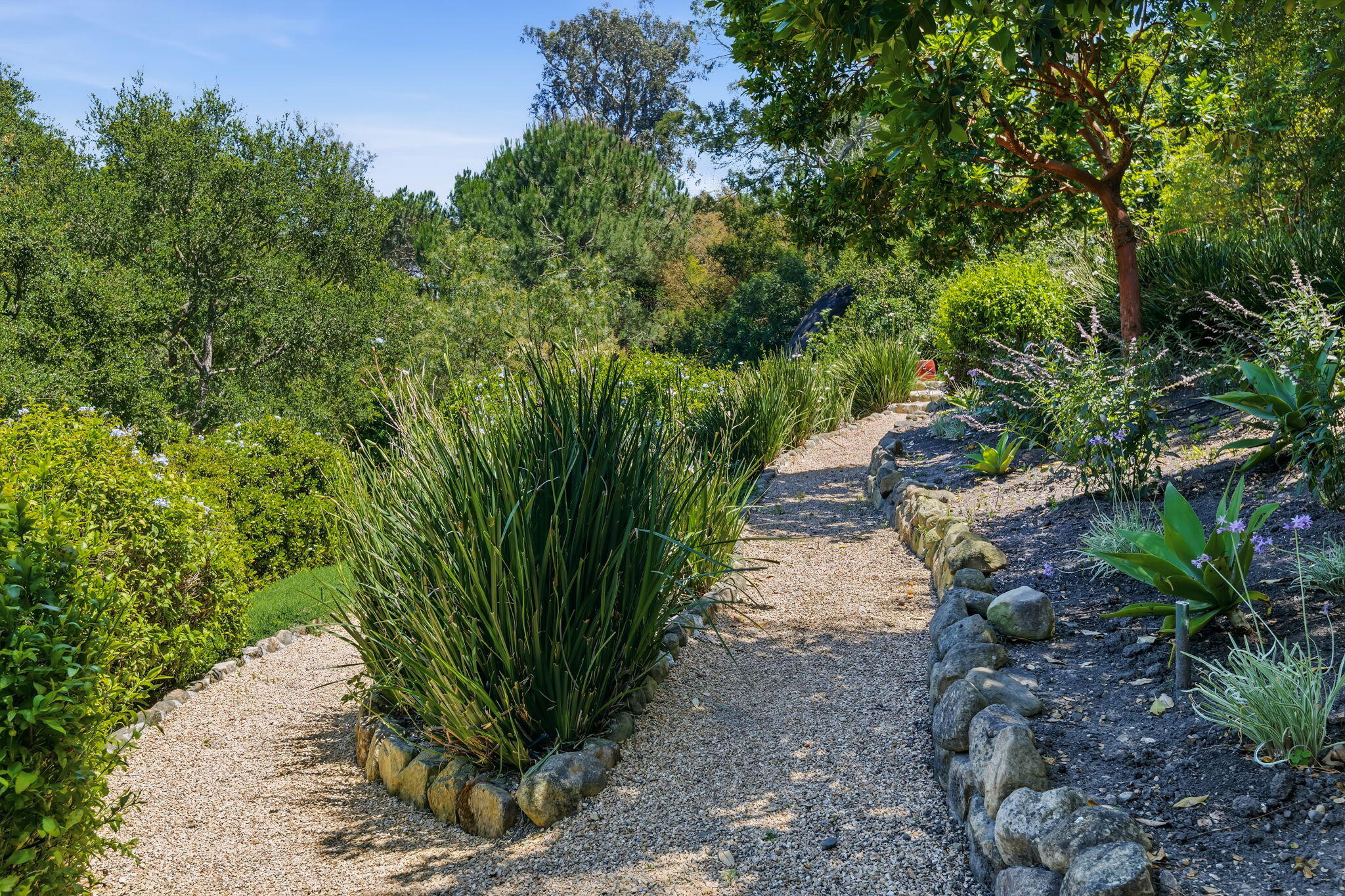 1163 Camino Viejo Road