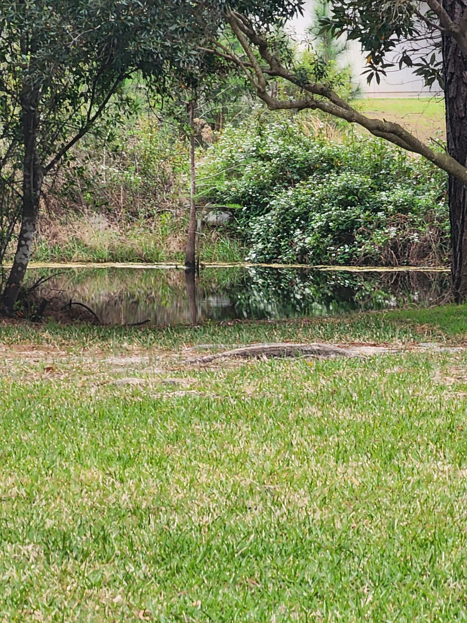 1817 E Smugglers Cove Drive