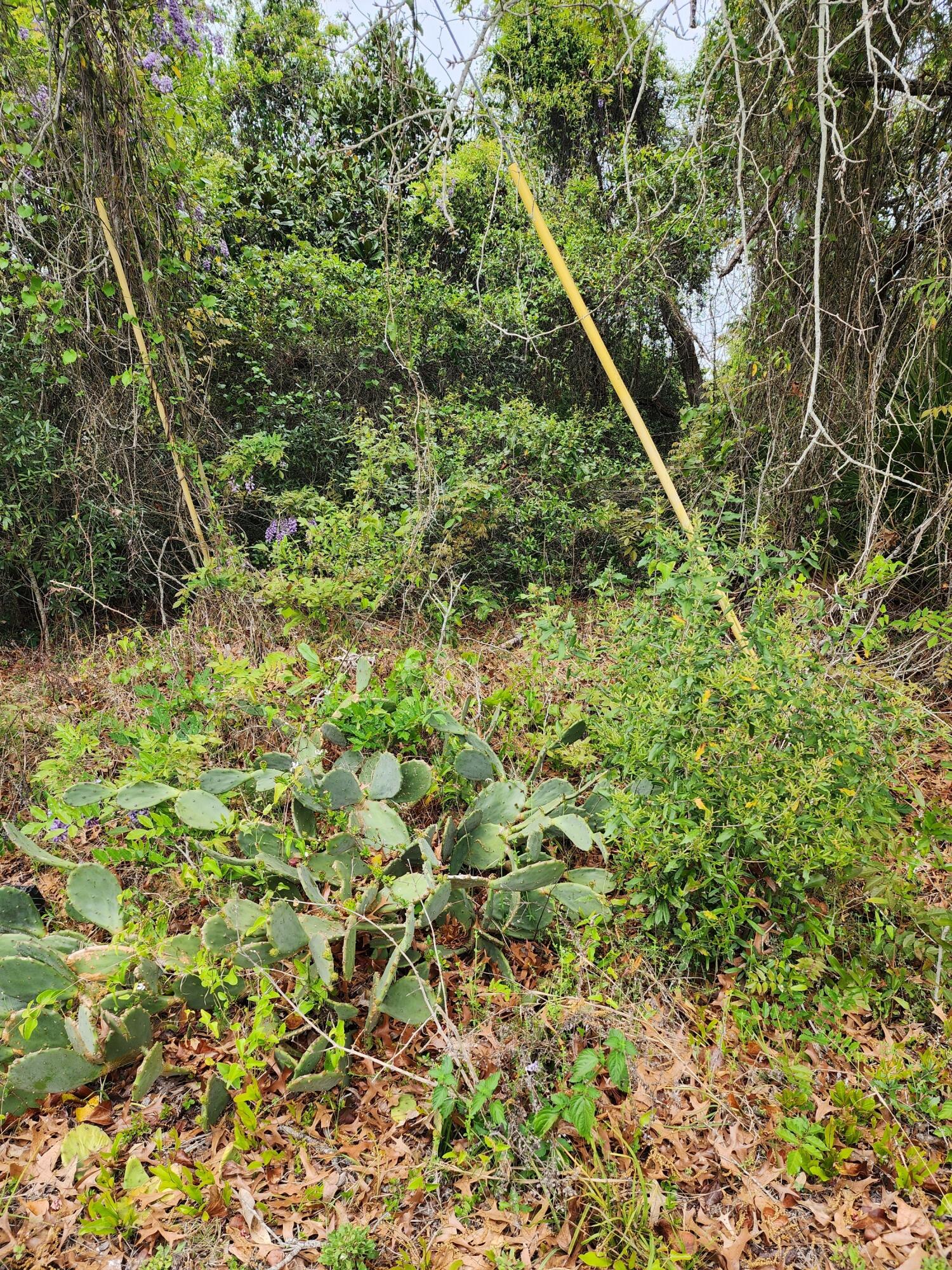 1960 Sherry Ann Lane