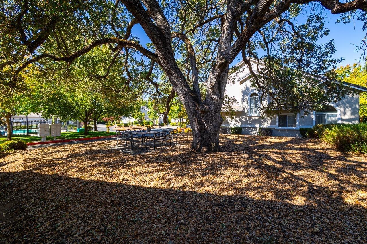 648 Shasta Oaks Circle
