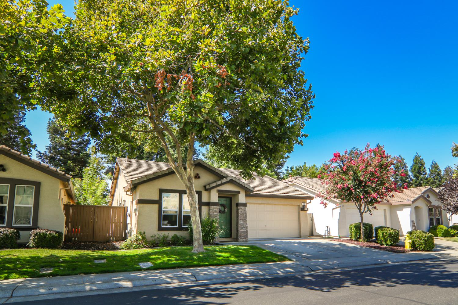 1521 Blue Squirrel Street