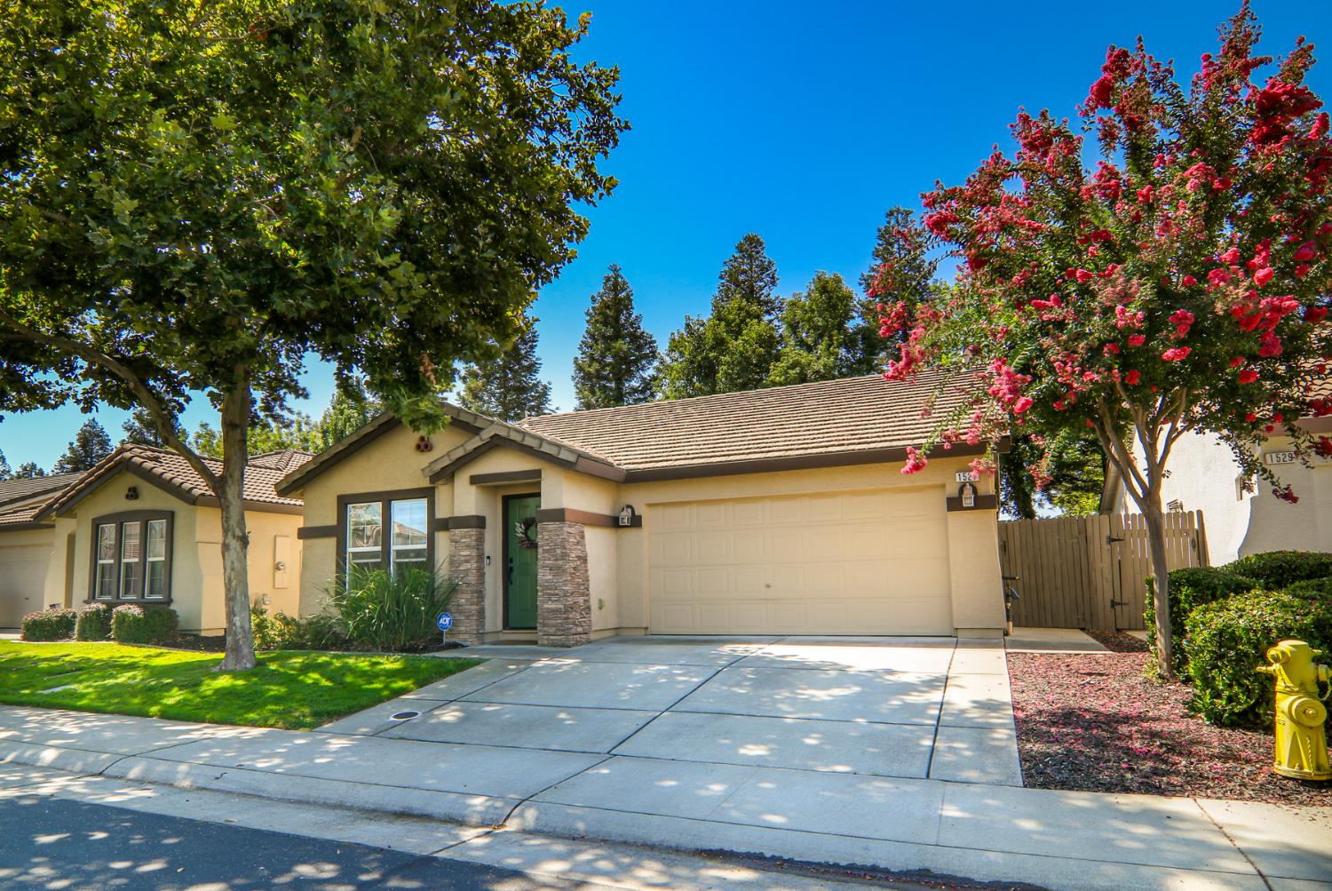 1521 Blue Squirrel Street