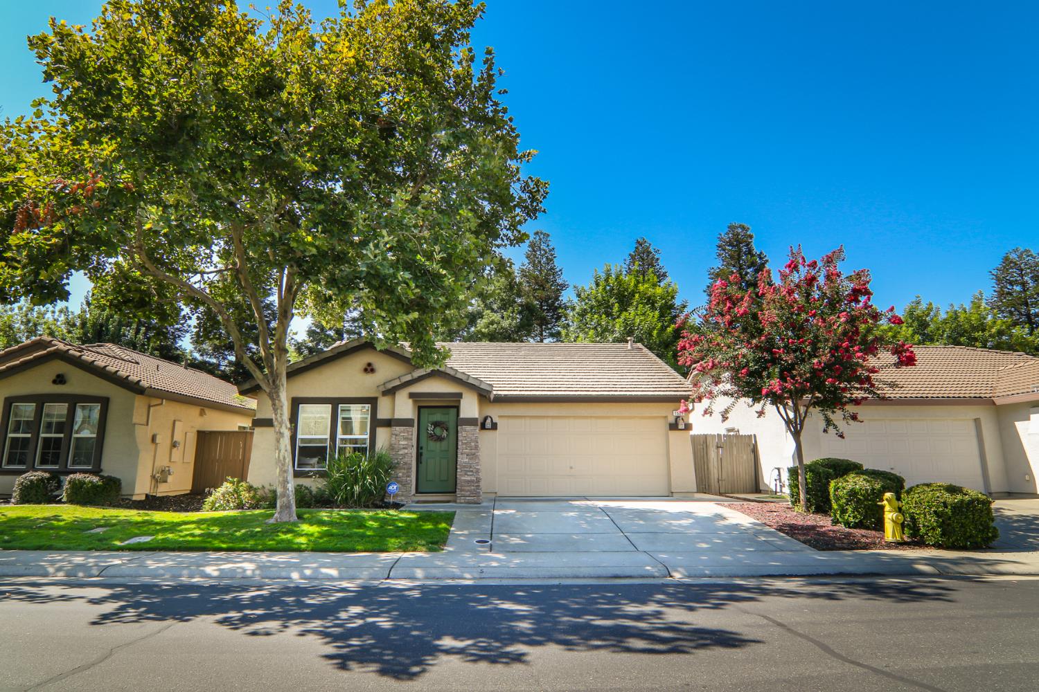 1521 Blue Squirrel Street