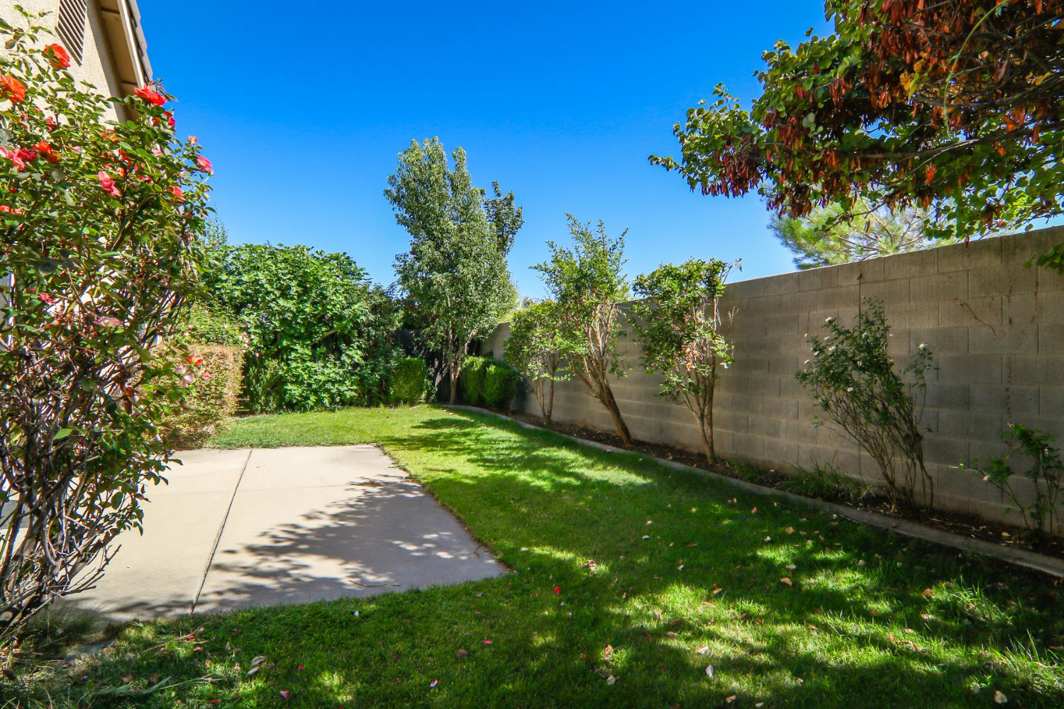 1637 Blue Beaver Way