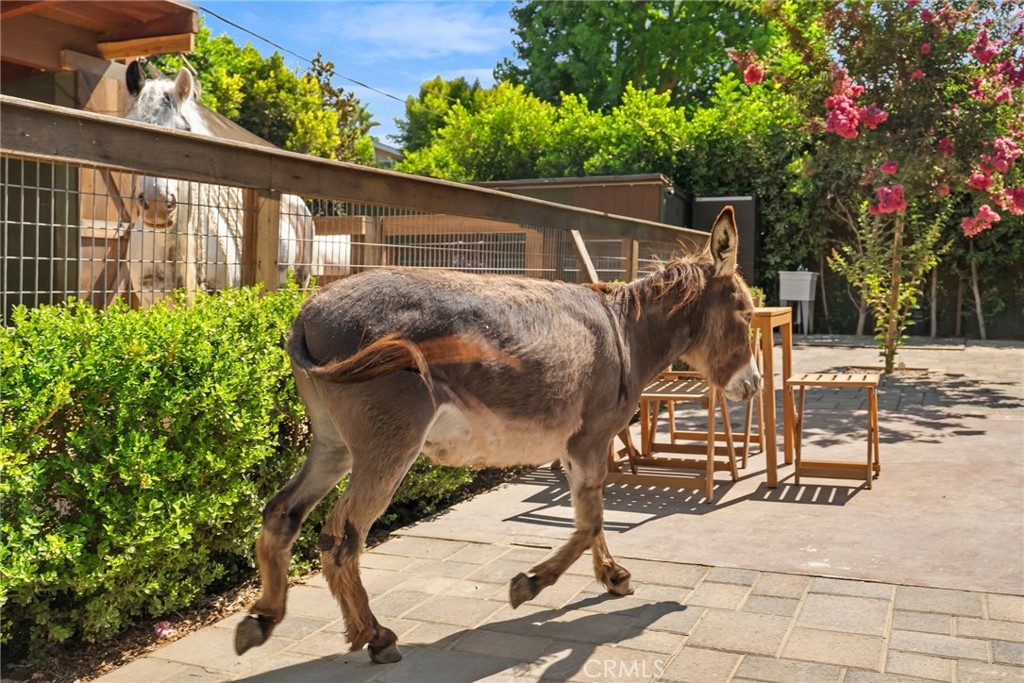 1321 W Morningside Drive