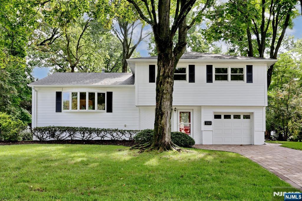 White split-level house with black shutters and a large tree in front of the entrance.