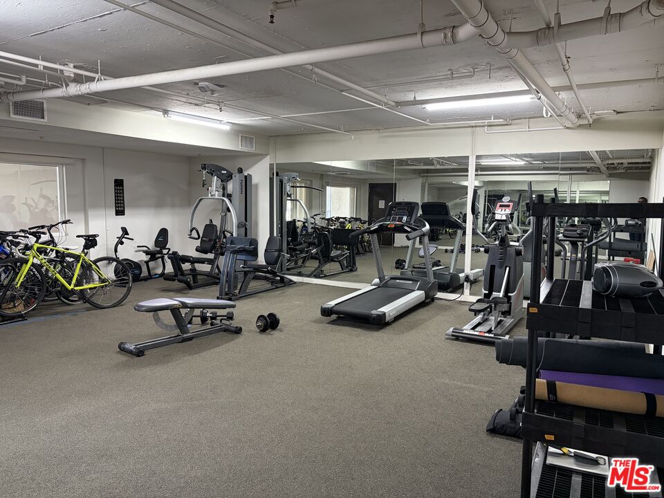 11851 Laurelwood Dr Unit: 105