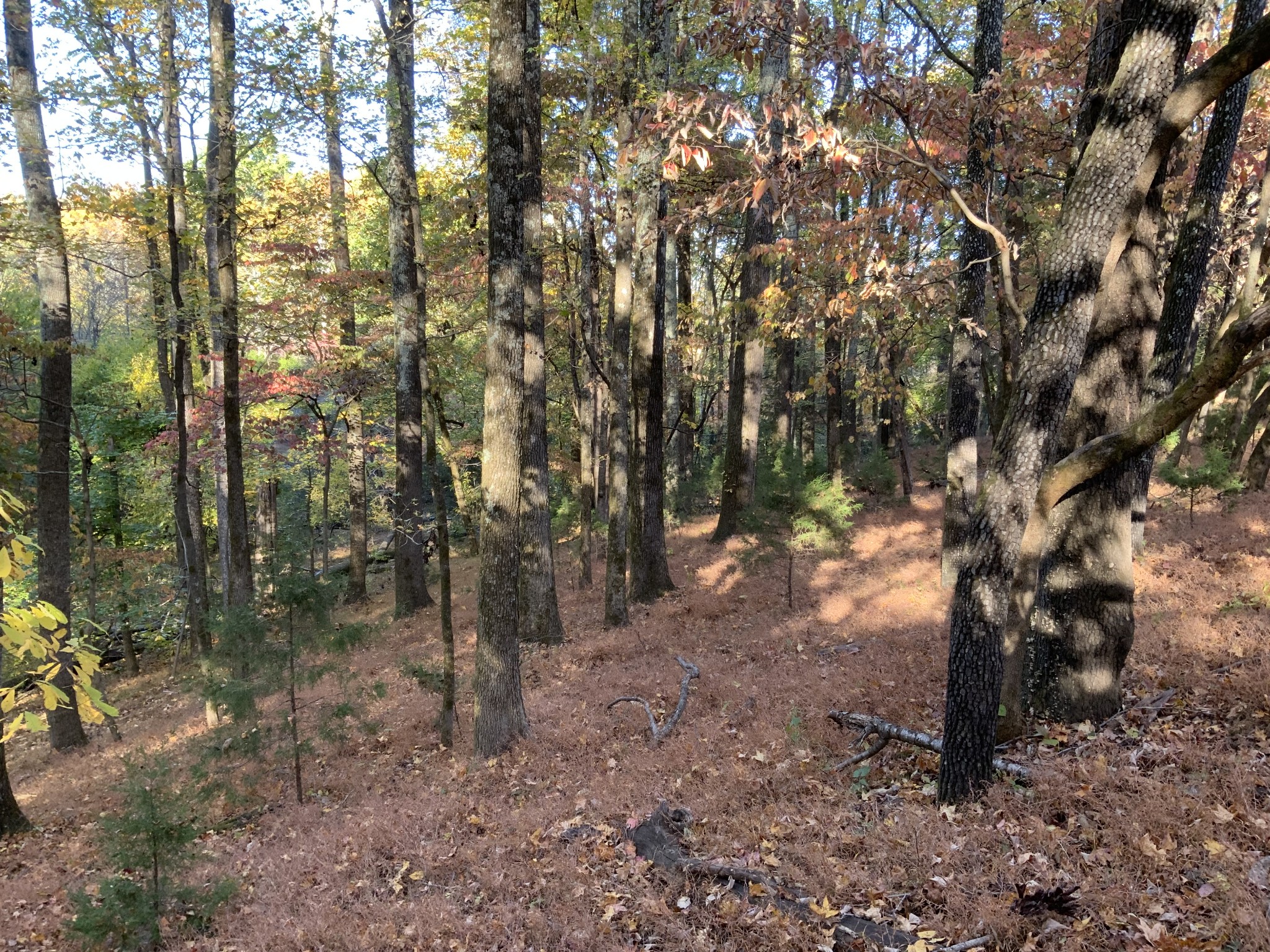 4659 Bennett Hollow Rd