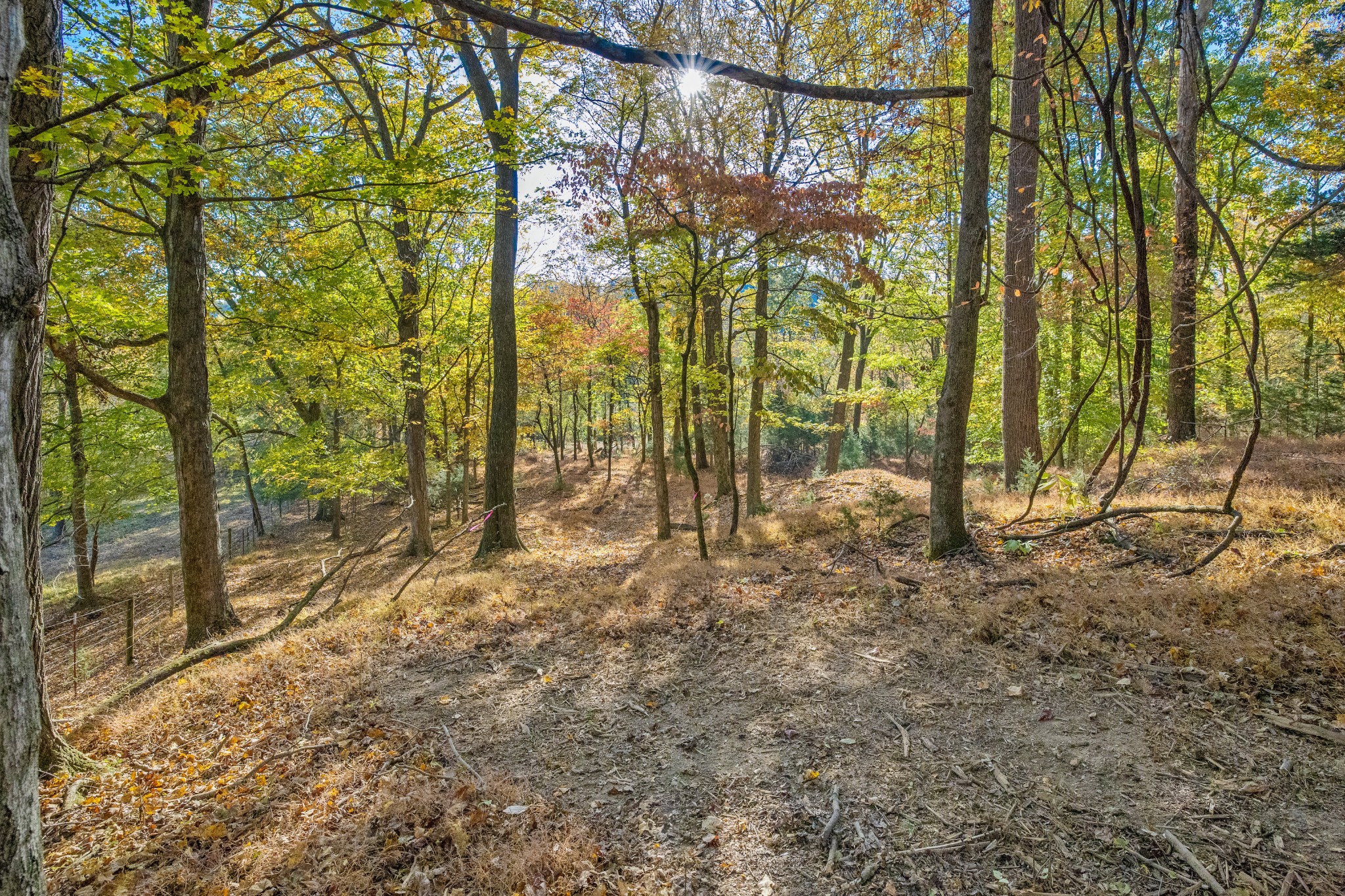 4659 Bennett Hollow Rd