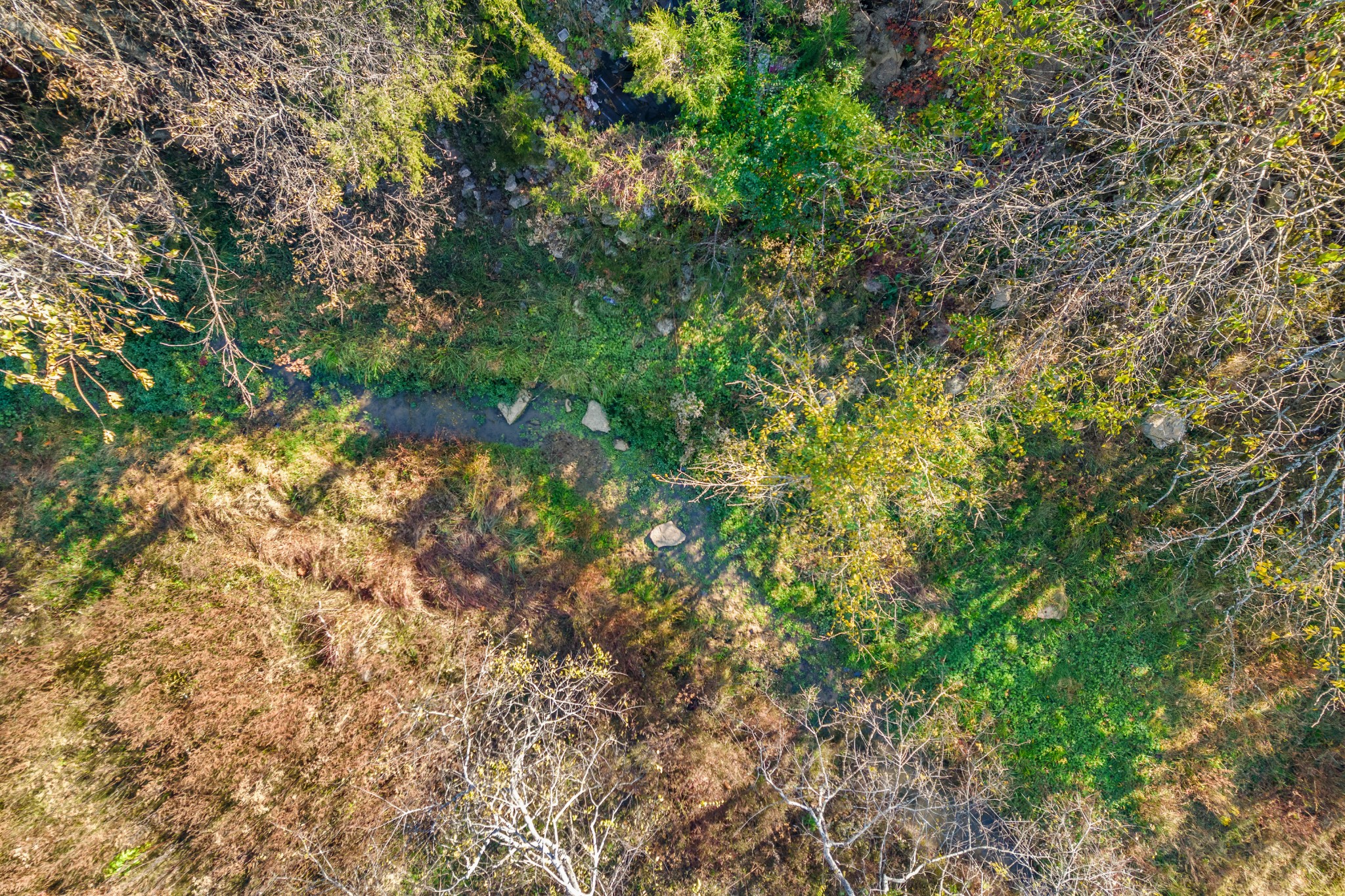 4659 Bennett Hollow Rd